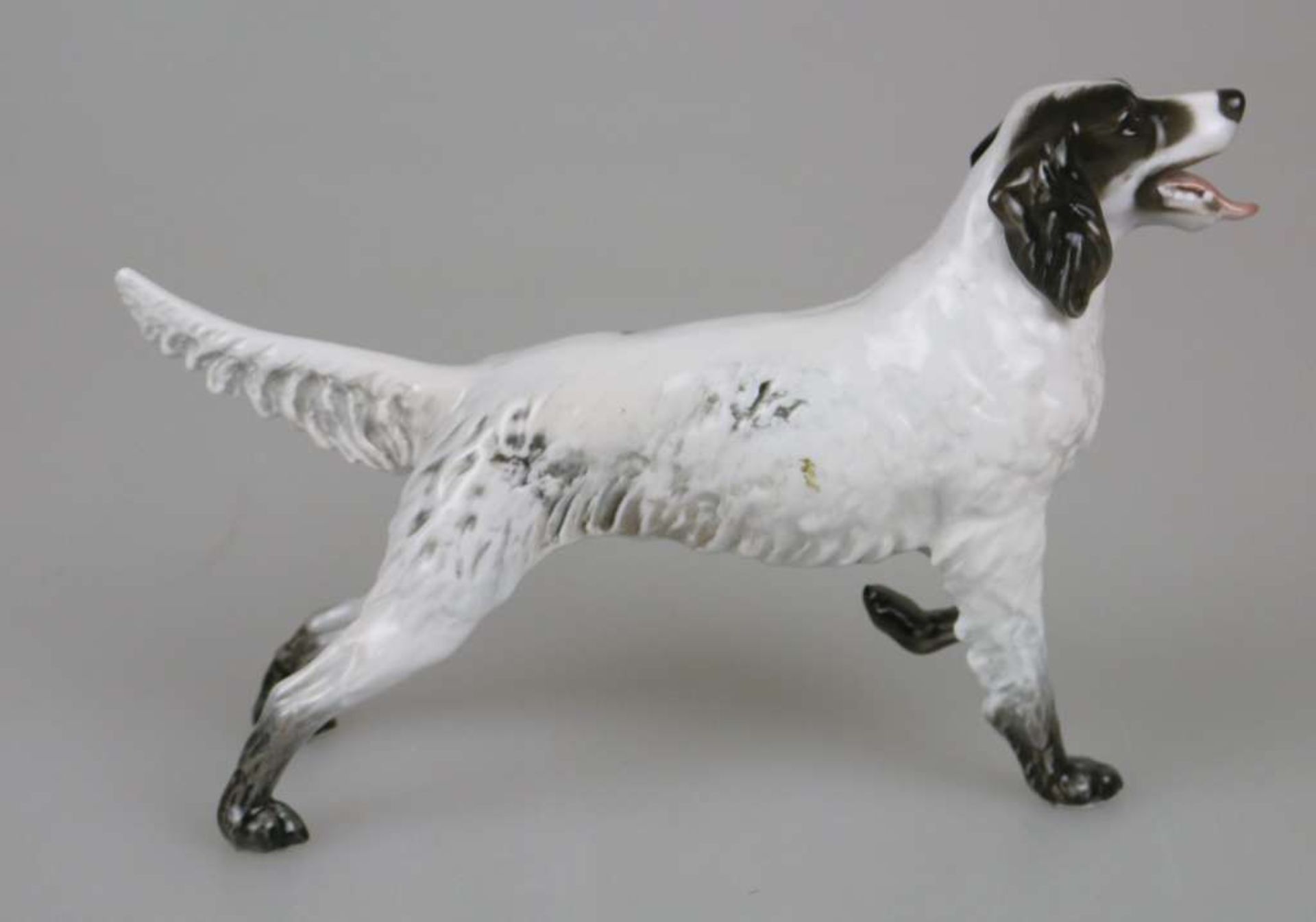 Rosenthal Porzellanfigur Irish Setter, Entwurf Fritz Heidenreich. Gemarkt mit Rosenthal Group - Bild 2 aus 3