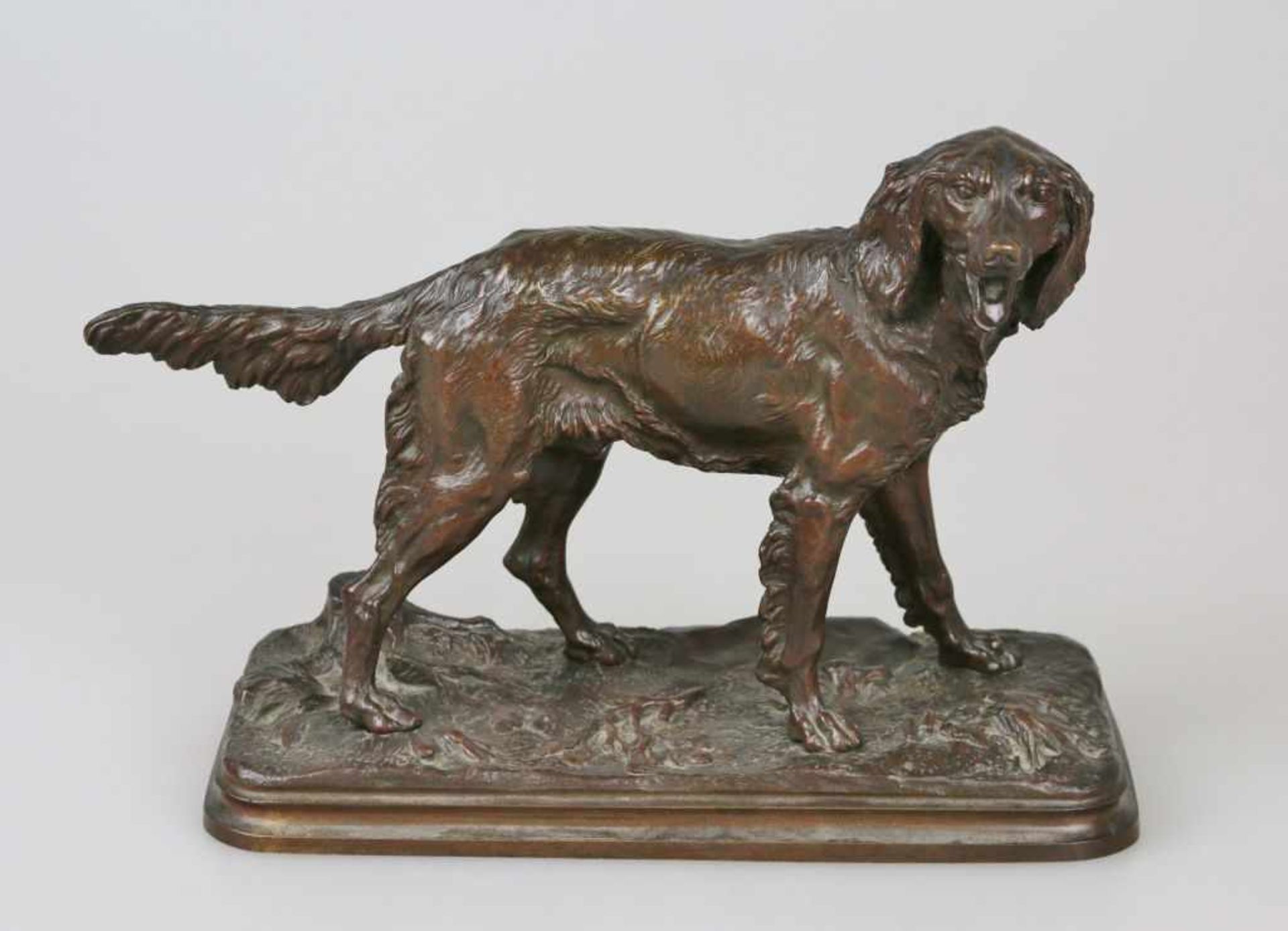 Alfred DUBUCAND (1828-1894), Jagdhund, Bronze braun patiniert, rechteckige Plinthe, signiert "A.