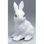 Bisquitporzellan-Tierplastik, "Hase", Rosenthal, neuzeitlich, vollplastische, sitzendeDarstellung,