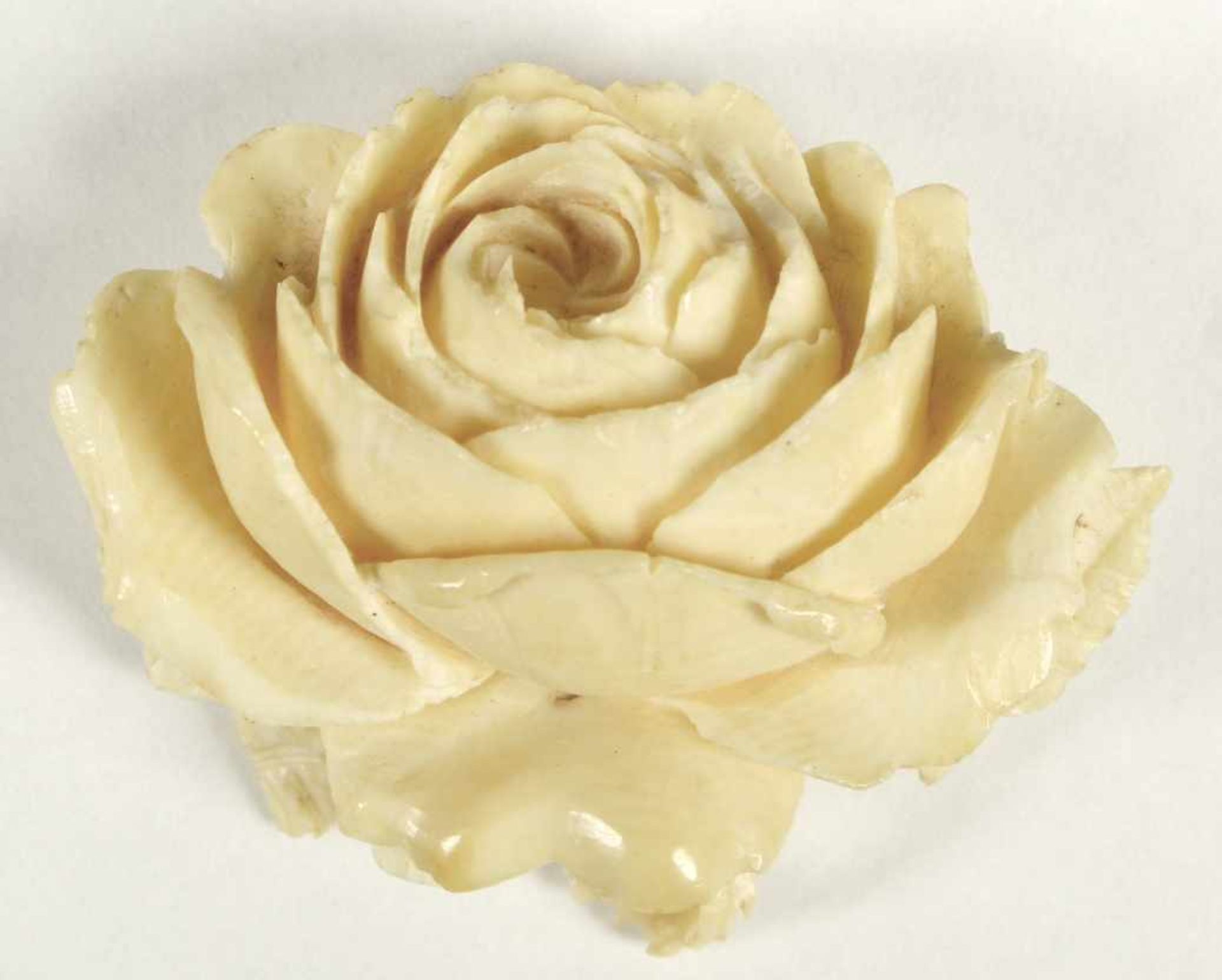 Elfenbein-Brosche, wohl Erbach, um 1930, fein geschnitten in Form einer Rose