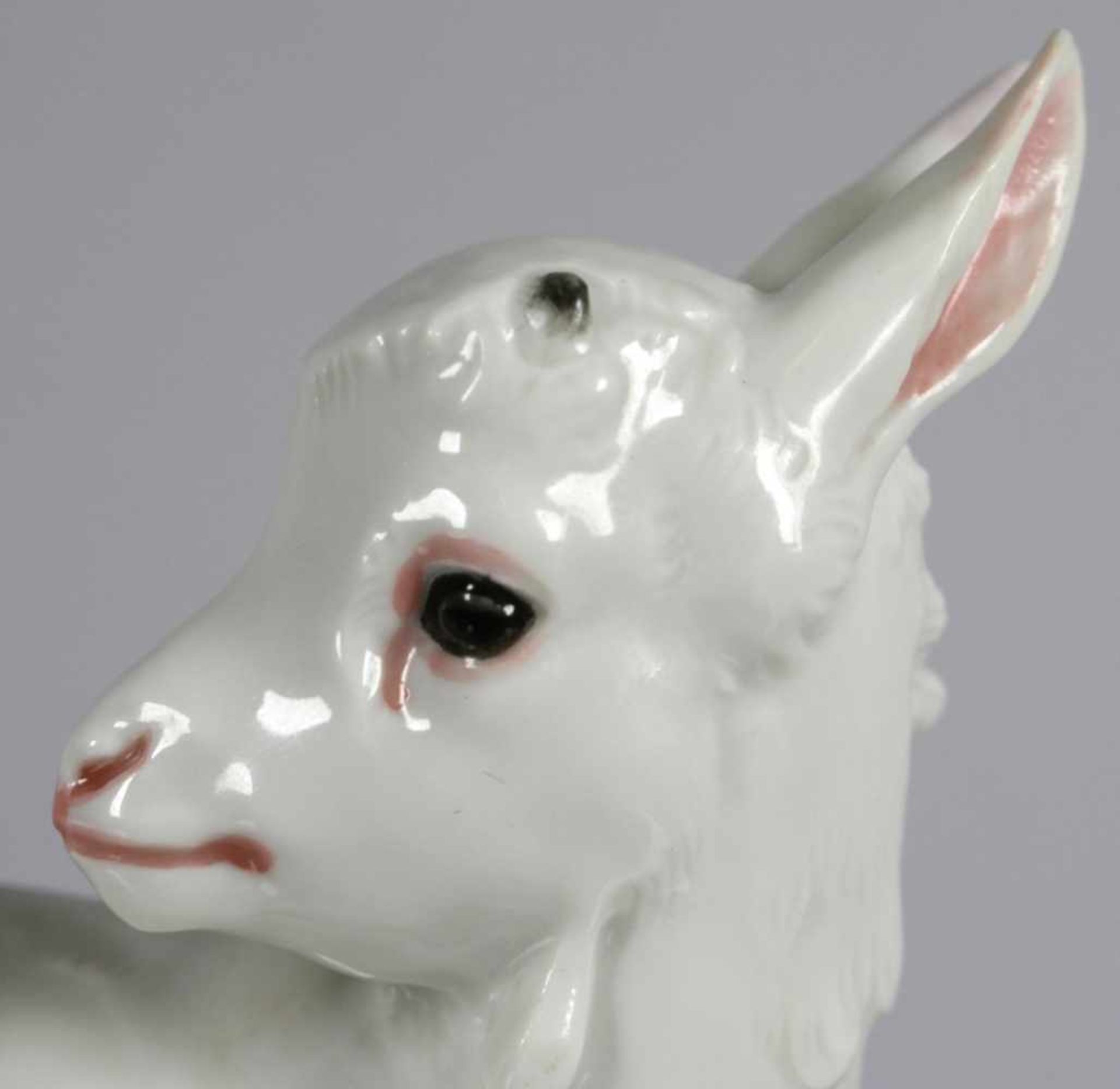 Porzellan-Tierplastik, "Zicklein", Porzellan-Manufaktur Allach, Allach bei München, um1938-45, - Bild 2 aus 4