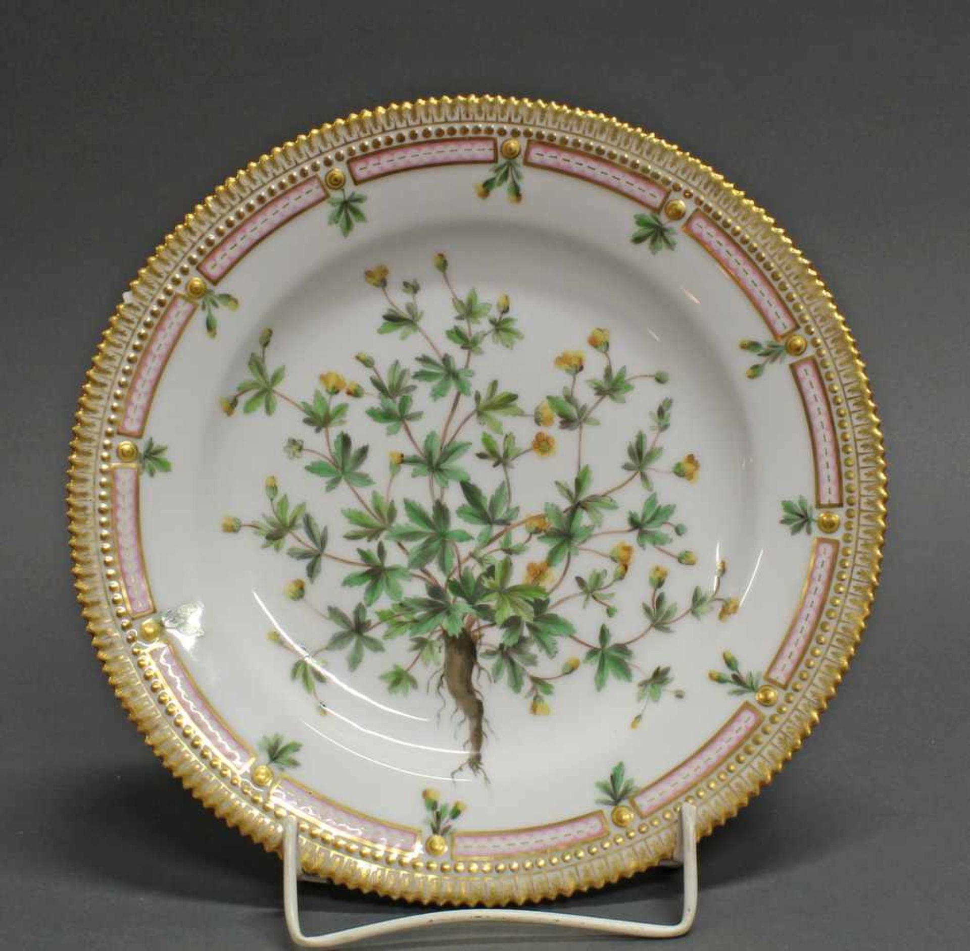 Teller, "Potentilla Tormentilla Sibth.", Royal Kopenhagen, um 1870, polychrom und goldstaffiert,