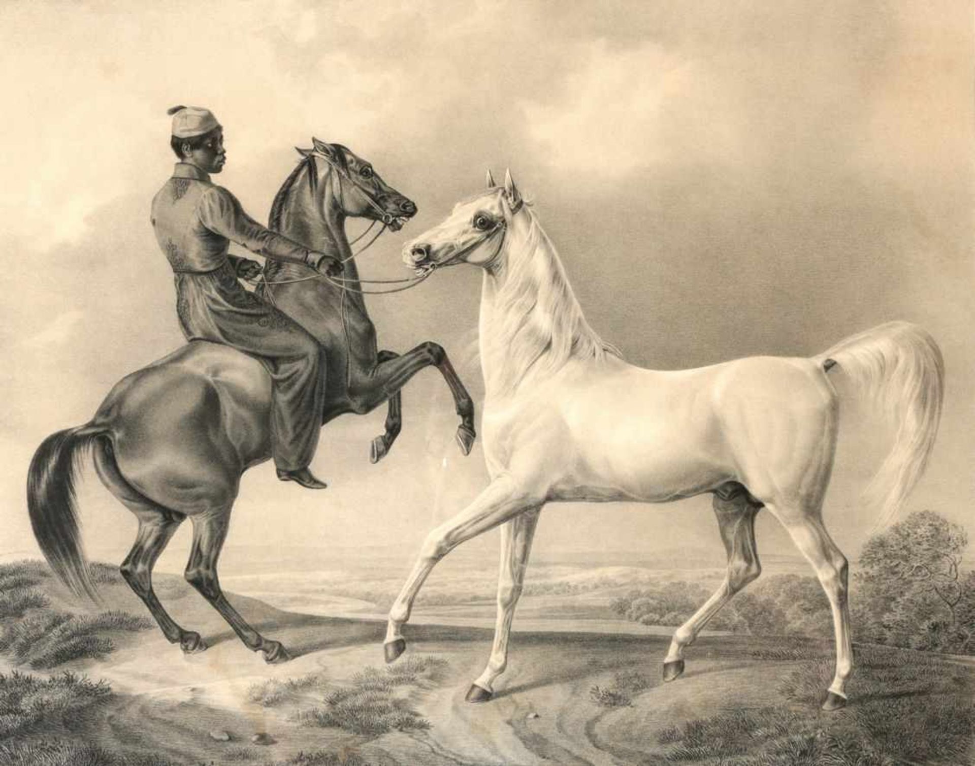 2 Bll. Pferdeportraits19.Jh. Dabei: Arabian, v. John Scott (1774-1828). Bairaktar v. Gottfried - Bild 2 aus 2