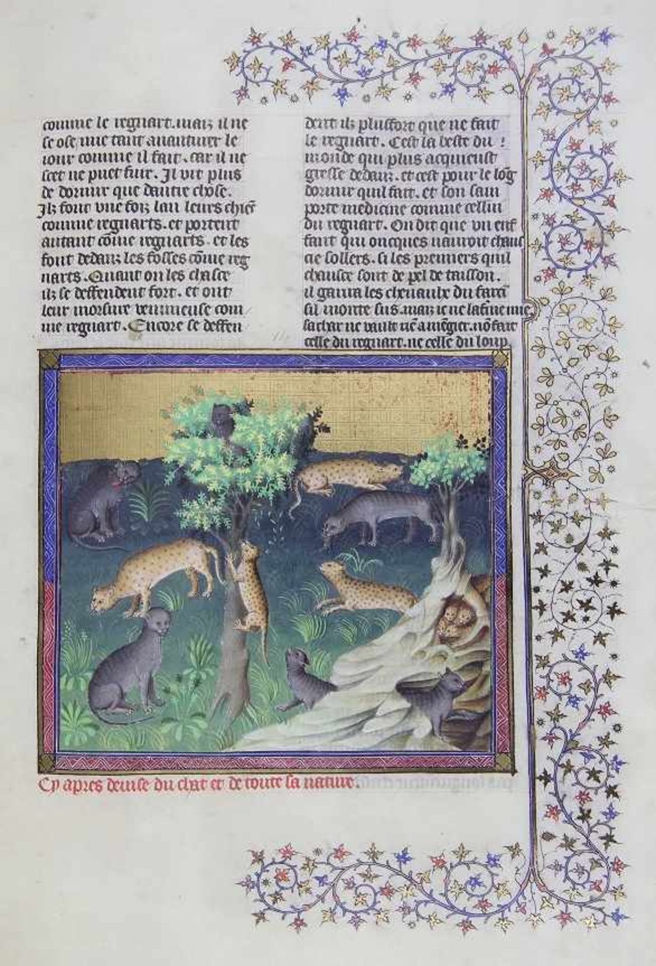 Gaston Phoebus "Le Livre de la Chasse“(Das Buch der Jagd) 156 Seiten mit 87 farbigen Miniaturen - Image 5 of 5