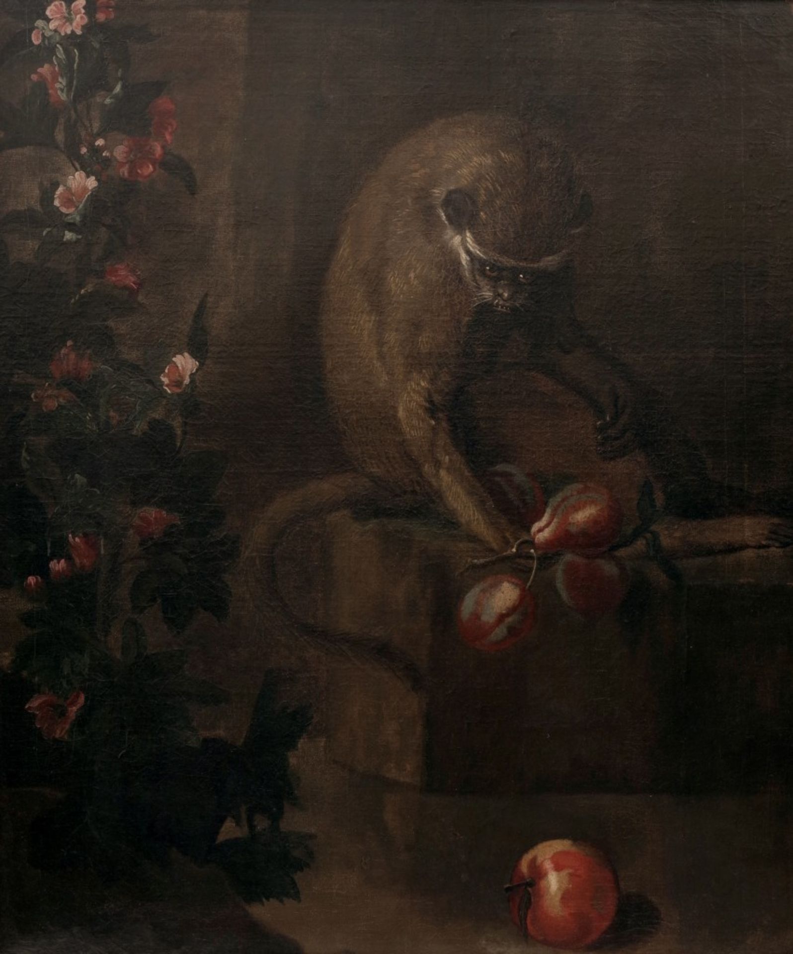 Stillife with a Bouquet and Monkey, Jan Weenix (attrib.) - Bild 8 aus 8