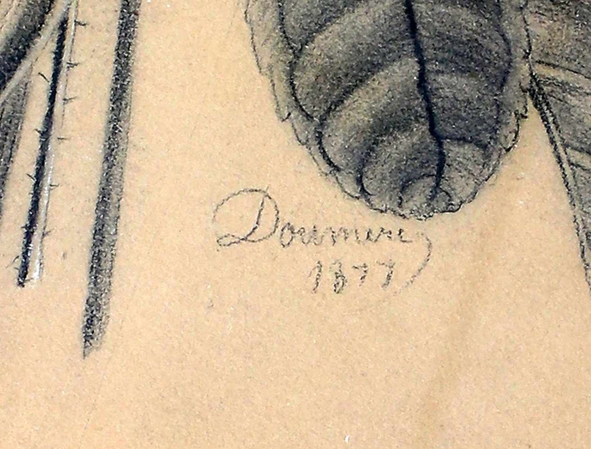 Doumere, Botanisches BlattBleistift- und Pastellkreidezeichnung auf Papier, re. u. sign. "Doumere" - Image 2 of 2