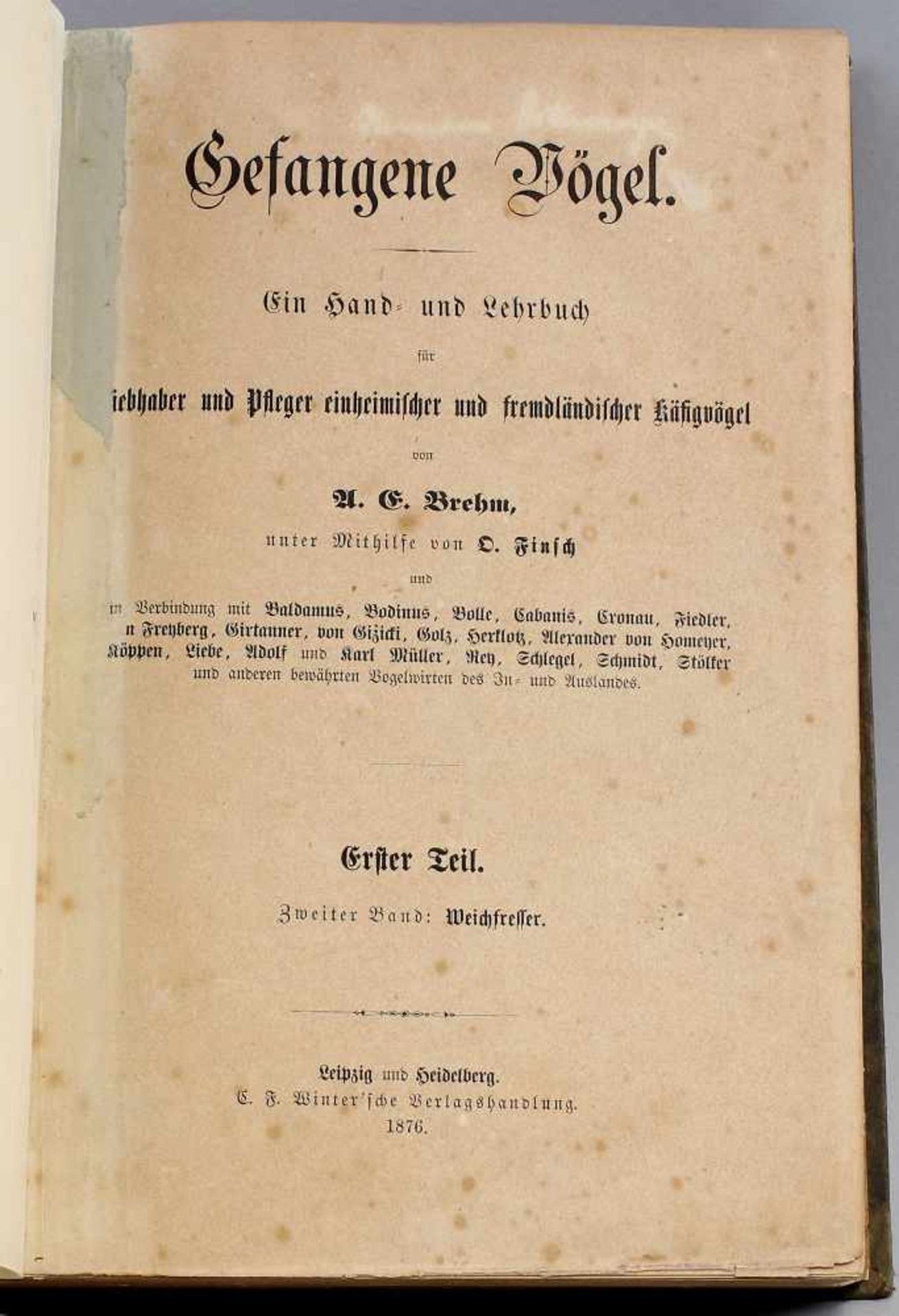 Gefangene Vögel - Ein Hand- und Lehrbuch v. 1876.Ein Hand- und Lehrbuch für Liebhaber und Pfleger - Bild 2 aus 2