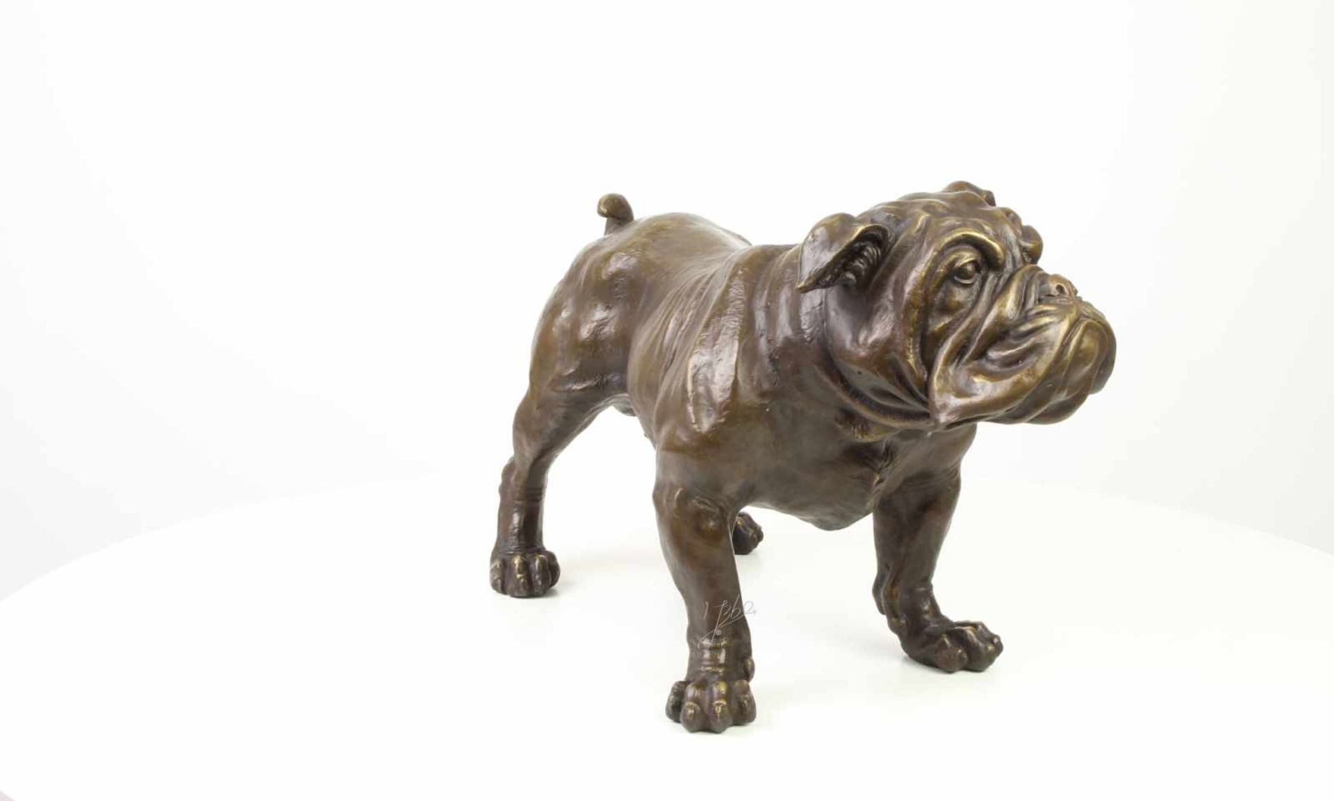 lebensgroße Bronze Skulptur BulldoggeBronze, naturgetreue und lebensgroße Ausformung, 31x24x54cm - Bild 3 aus 3