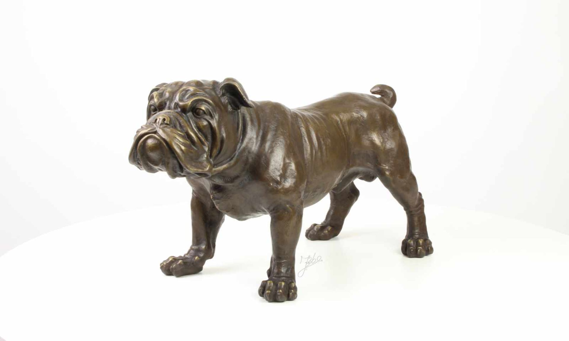 lebensgroße Bronze Skulptur BulldoggeBronze, naturgetreue und lebensgroße Ausformung, 31x24x54cm