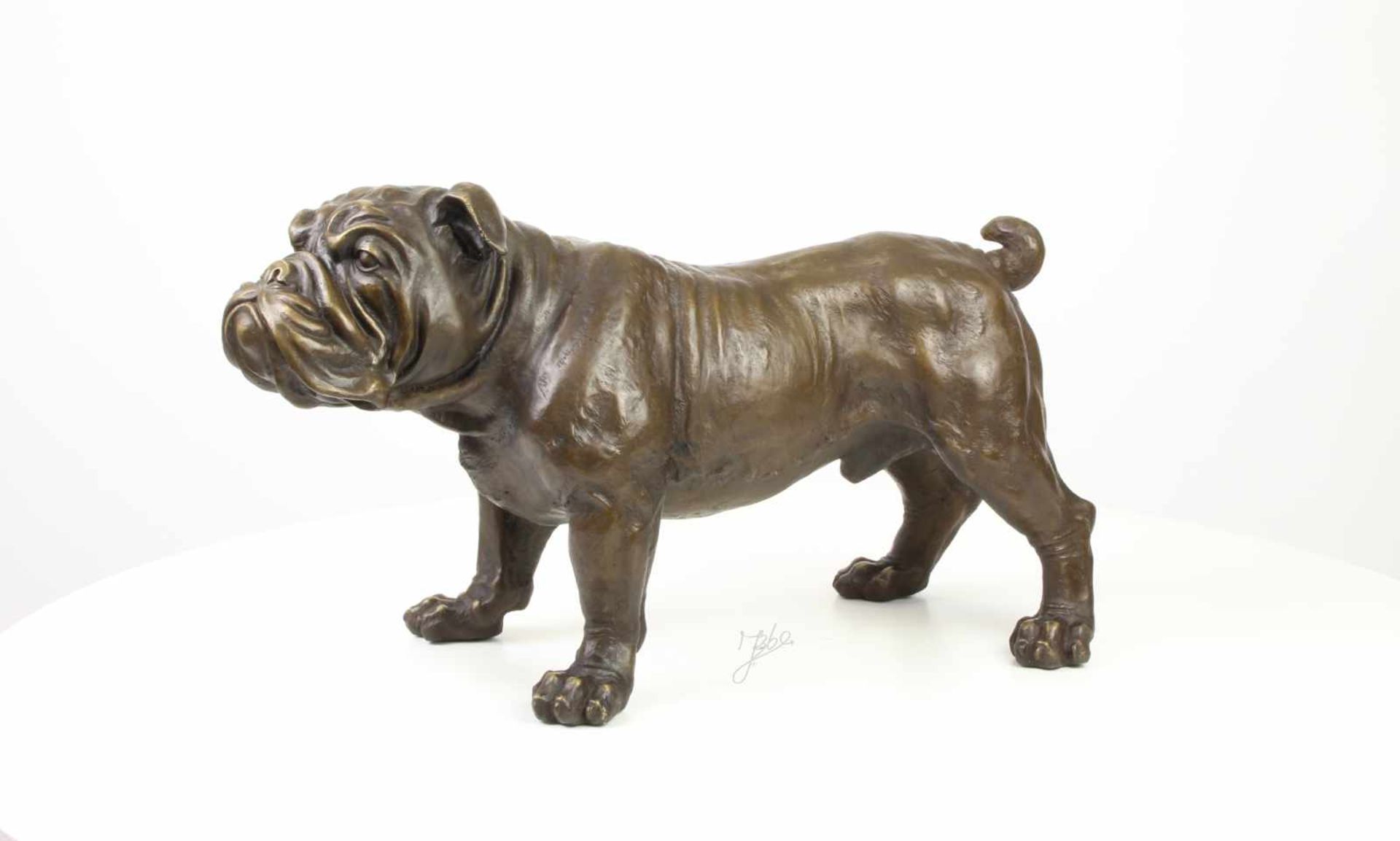 lebensgroße Bronze Skulptur BulldoggeBronze, naturgetreue und lebensgroße Ausformung, 31x24x54cm - Bild 2 aus 3