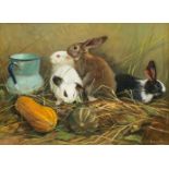 Giovanni Sanvitale (1935 Brescia)Vier Kaninchen, Öl auf Platte, 29 cm x 39 cm, unten rechts