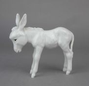 PORZELLANFIGUR / porcelain figure: "Junger Esel", Weissporzellan, Manufaktur Meissen,