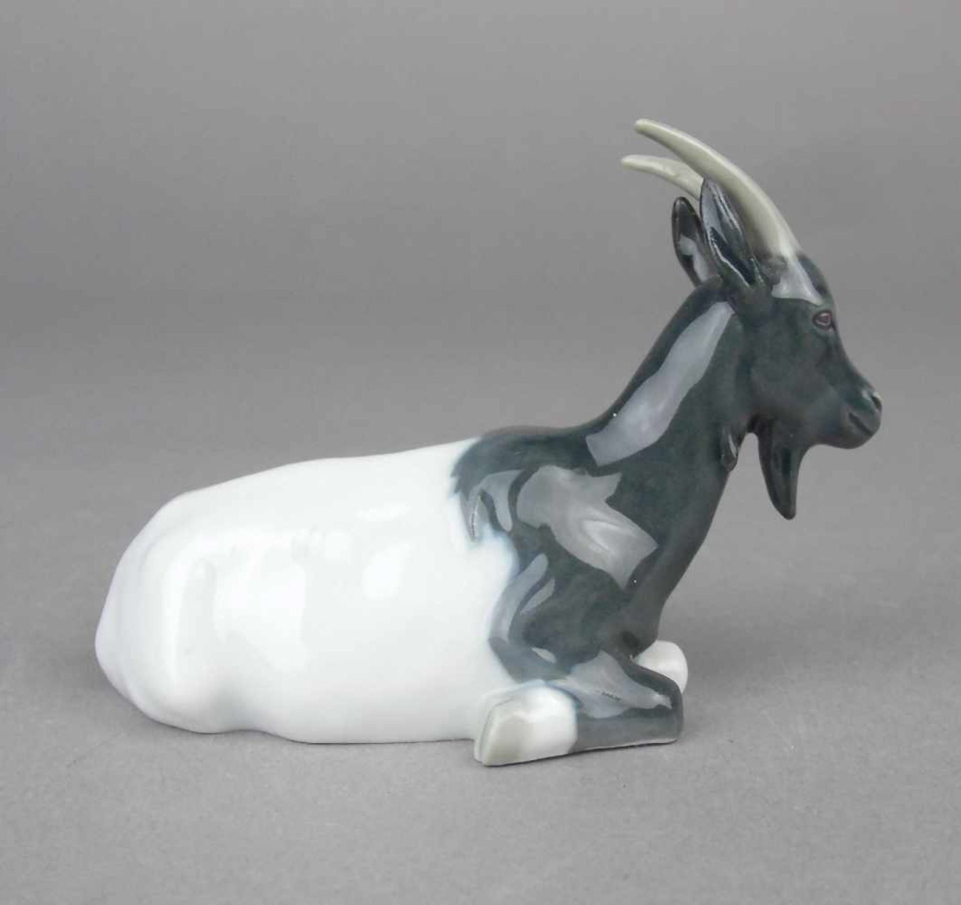PORZELLANFIGUR / porcelain figure: "Ruhende Ziege", Manufaktur Meissen, unterglasurblaue - Bild 3 aus 4