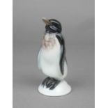 PORZELLANFIGUR / porcelain figure: "Pinguin", Manufaktur Rosenthal, Zweigwerk Bahnhof Selb,