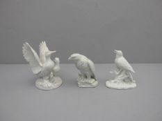PORZELLANFIGUREN / porcelainfigures: "Vögel", Weissporzellan (ungemarkt), jeweils naturalistisch