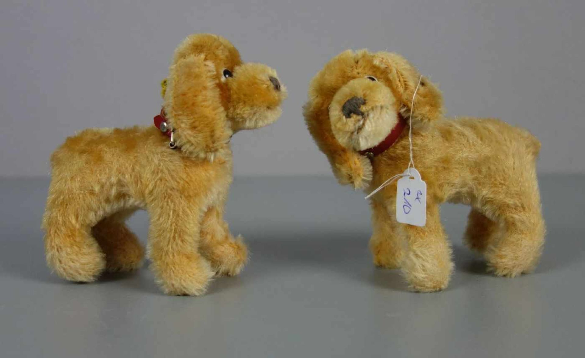 PAAR STEIFF - TIERE: "COCKER SPANIEL" / Hunde / pari of fluffy toys, mit Resten des "Knopfs im