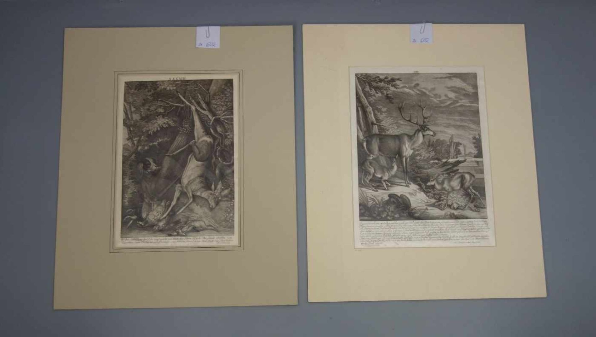 RIDINGER, JOHANN ELIAS (Ulm 1698-1767 Augsburg), 2 Radierungen mit Darstellungen von Jagdtrophäen: