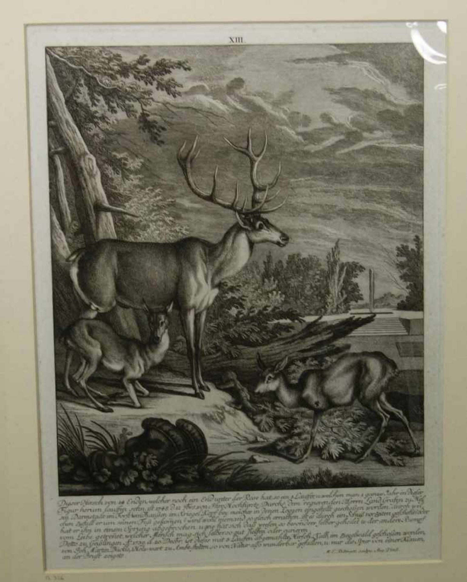 RIDINGER, JOHANN ELIAS (Ulm 1698-1767 Augsburg), 2 Radierungen mit Darstellungen von Jagdtrophäen: - Image 2 of 3