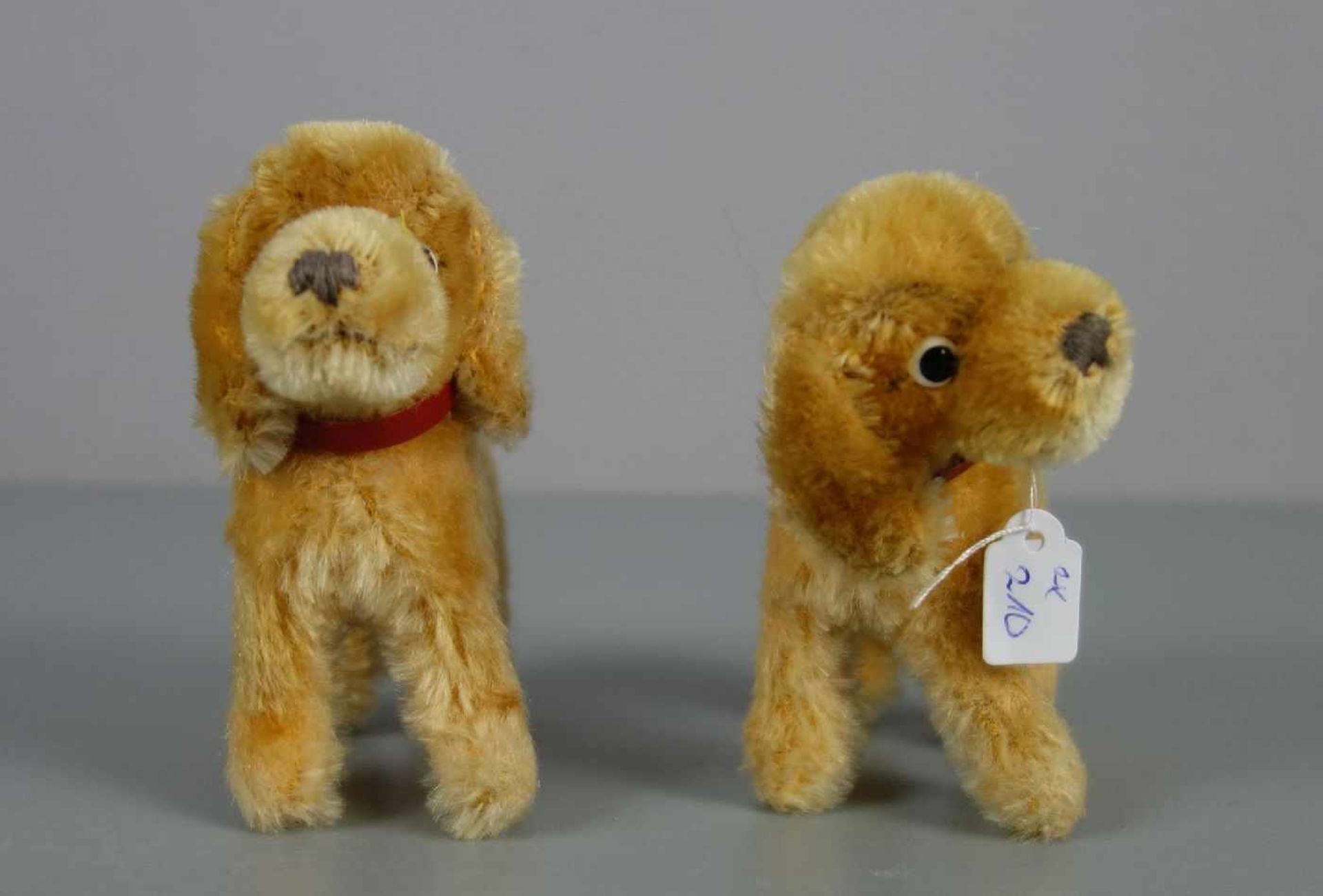 PAAR STEIFF - TIERE: "COCKER SPANIEL" / Hunde / pari of fluffy toys, mit Resten des "Knopfs im - Bild 2 aus 4