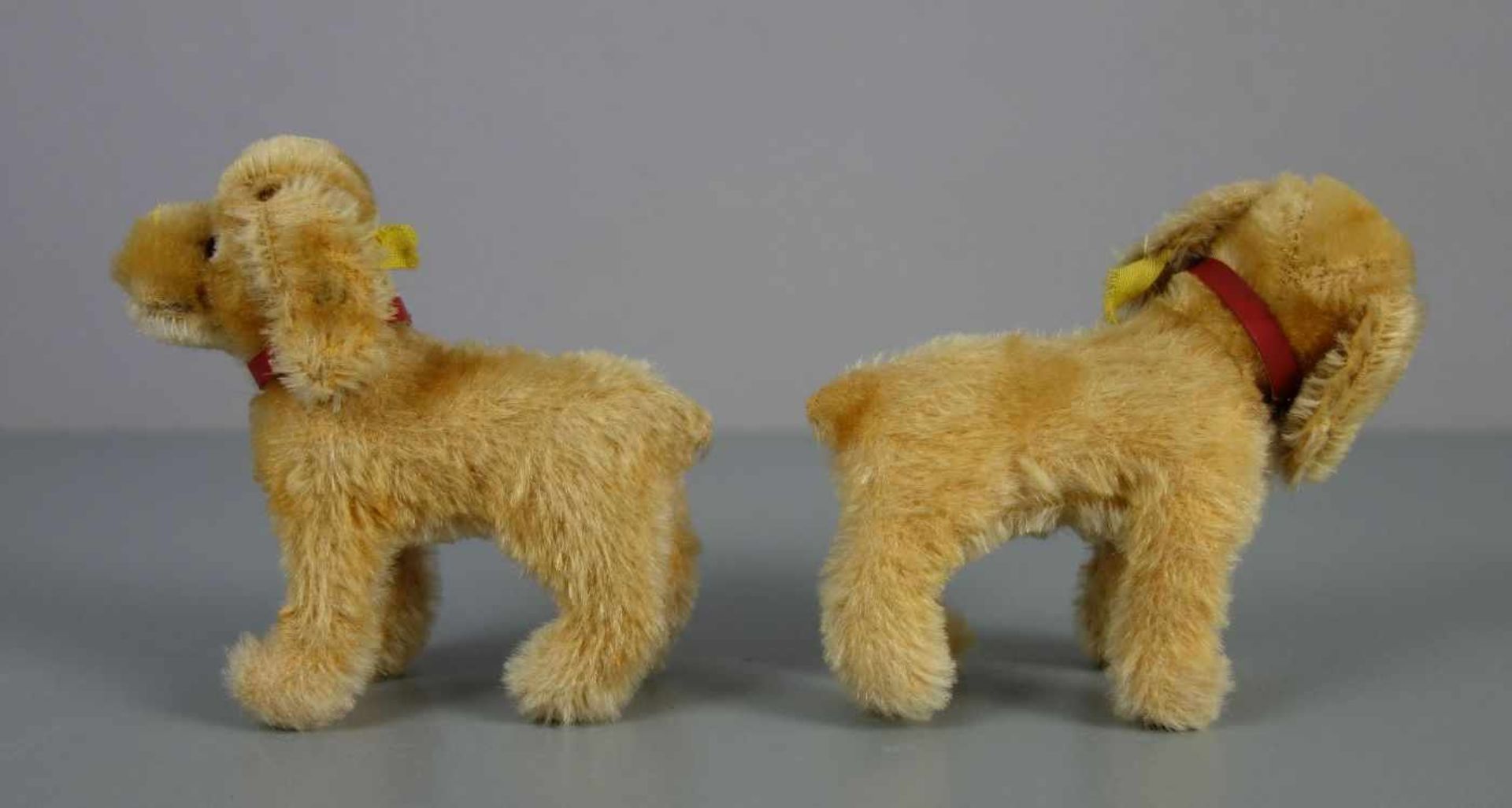 PAAR STEIFF - TIERE: "COCKER SPANIEL" / Hunde / pari of fluffy toys, mit Resten des "Knopfs im - Bild 3 aus 4