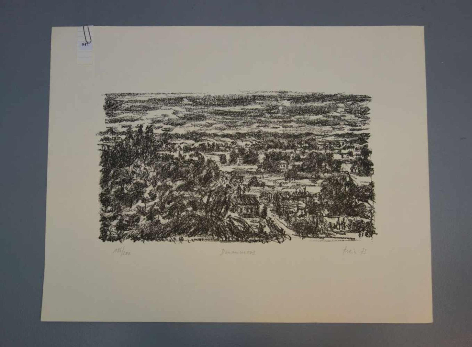 PREIN, JAN (geb. 1940), Lithografie / Künstlersteinzeichnung: "Donaumoos", u. r. mit Bleistift