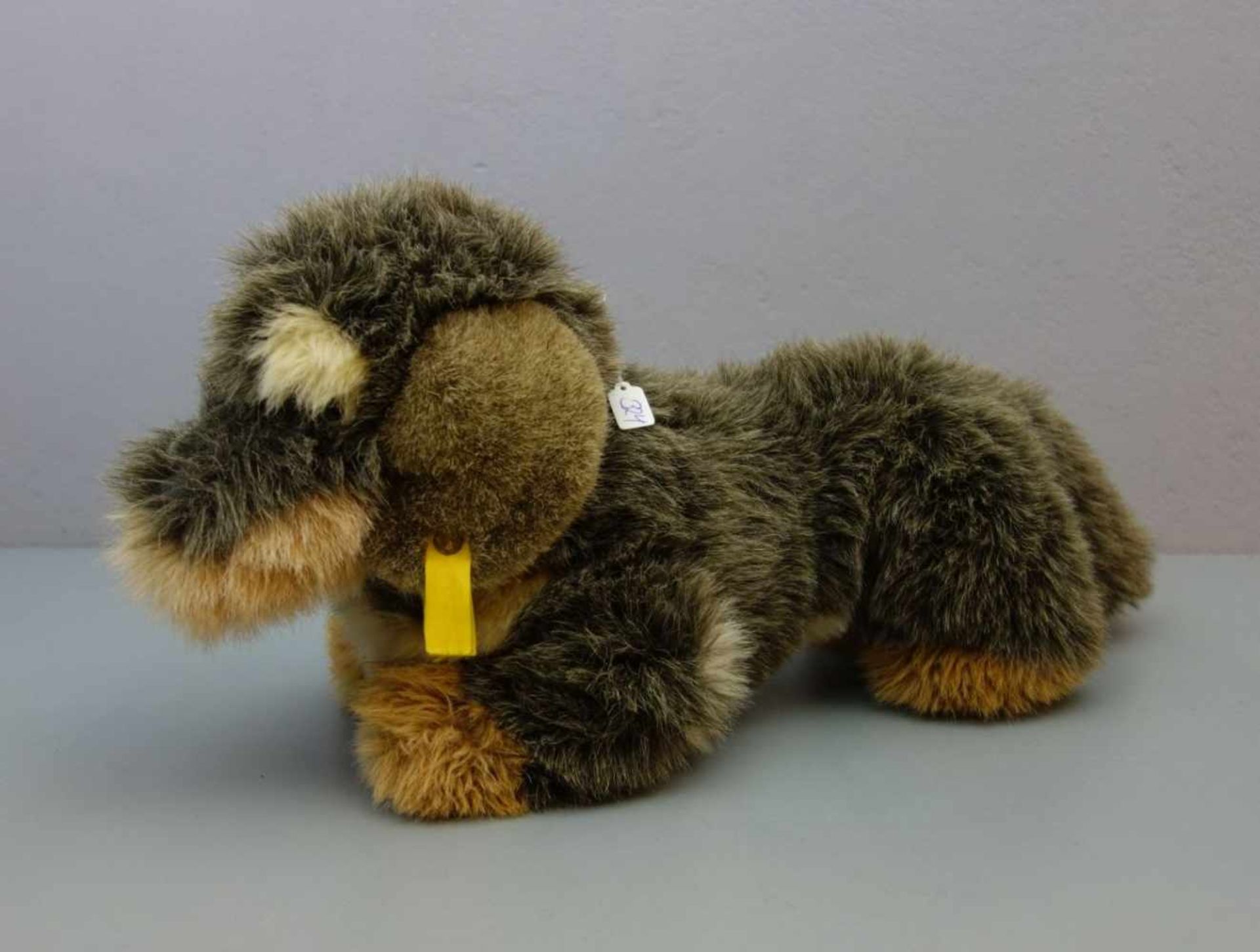 STEIFF - TIER "Dackel" / "Rauhaardackel", fluffy toy, mit "Knopf im Ohr" und Manufakturfahne.