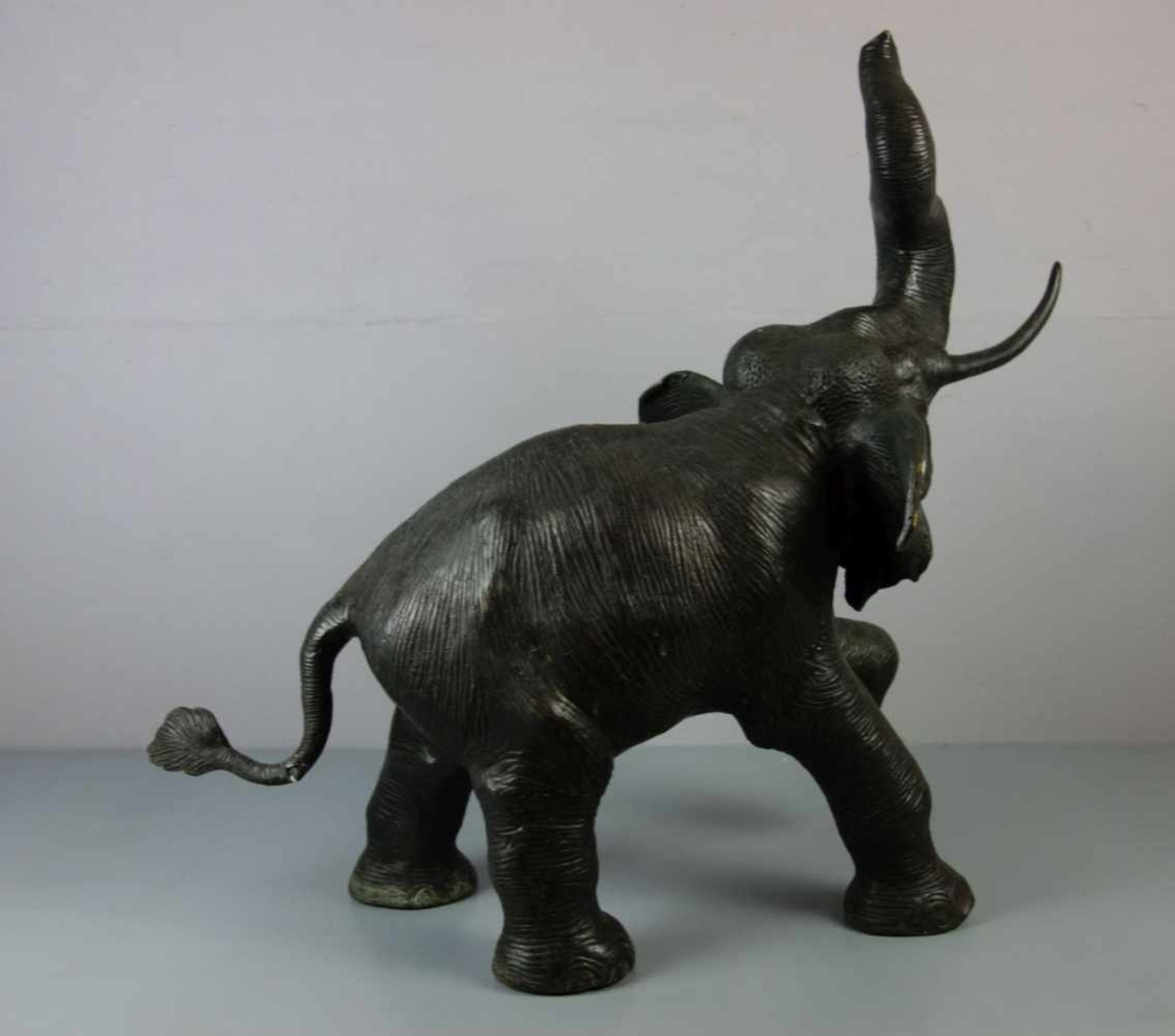 BILDHAUER DES 20./21. Jh., Skulptur / sculpture: "Elefant", Bronze, hellbraun patiniert. - Image 6 of 6