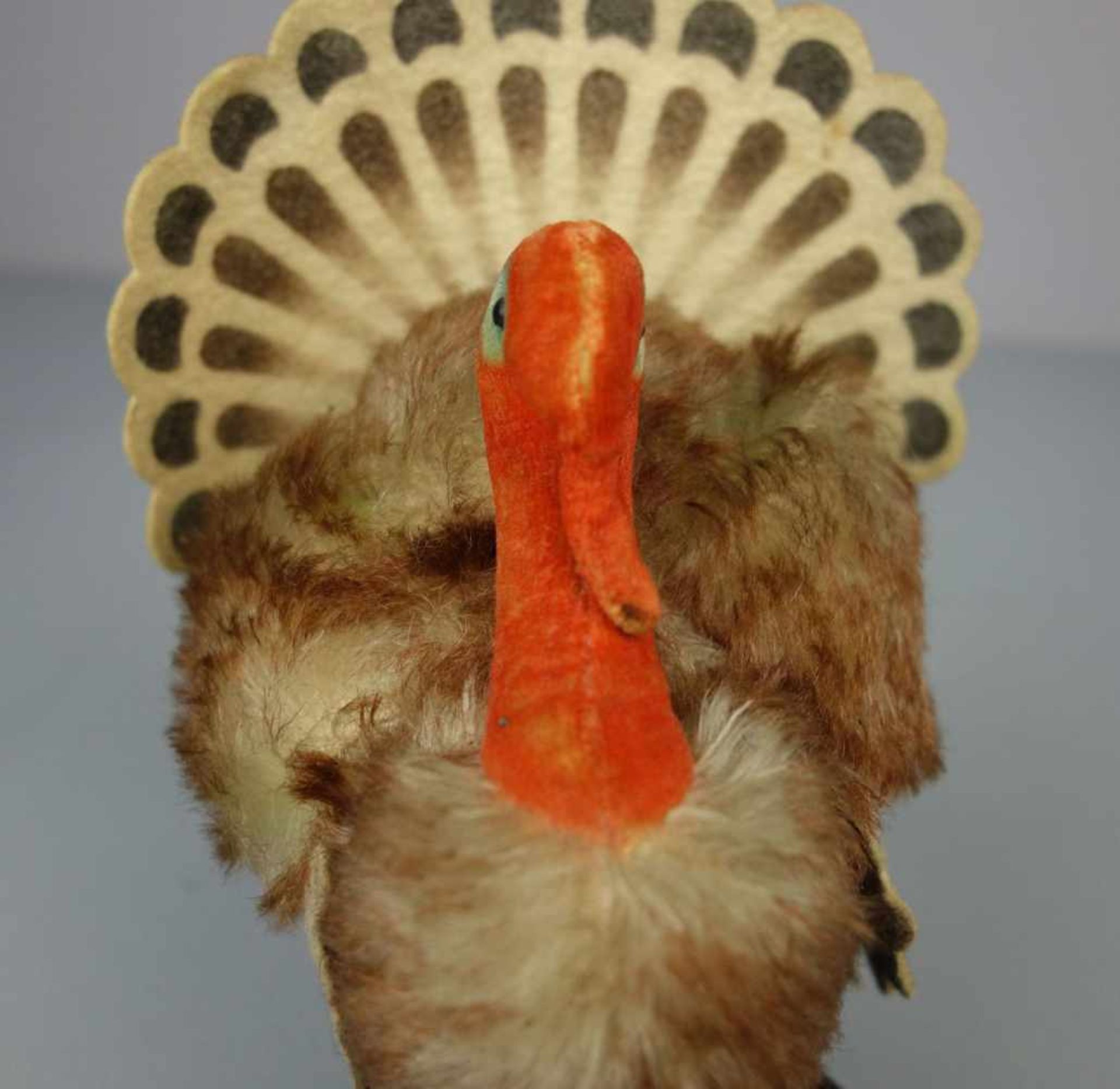 PLÜSCHTIER: STEIFF TRUTHAHN "Tucky" / fluffy turkey, wohl 1960er Jahre, Mohair/Filz und - Bild 5 aus 6