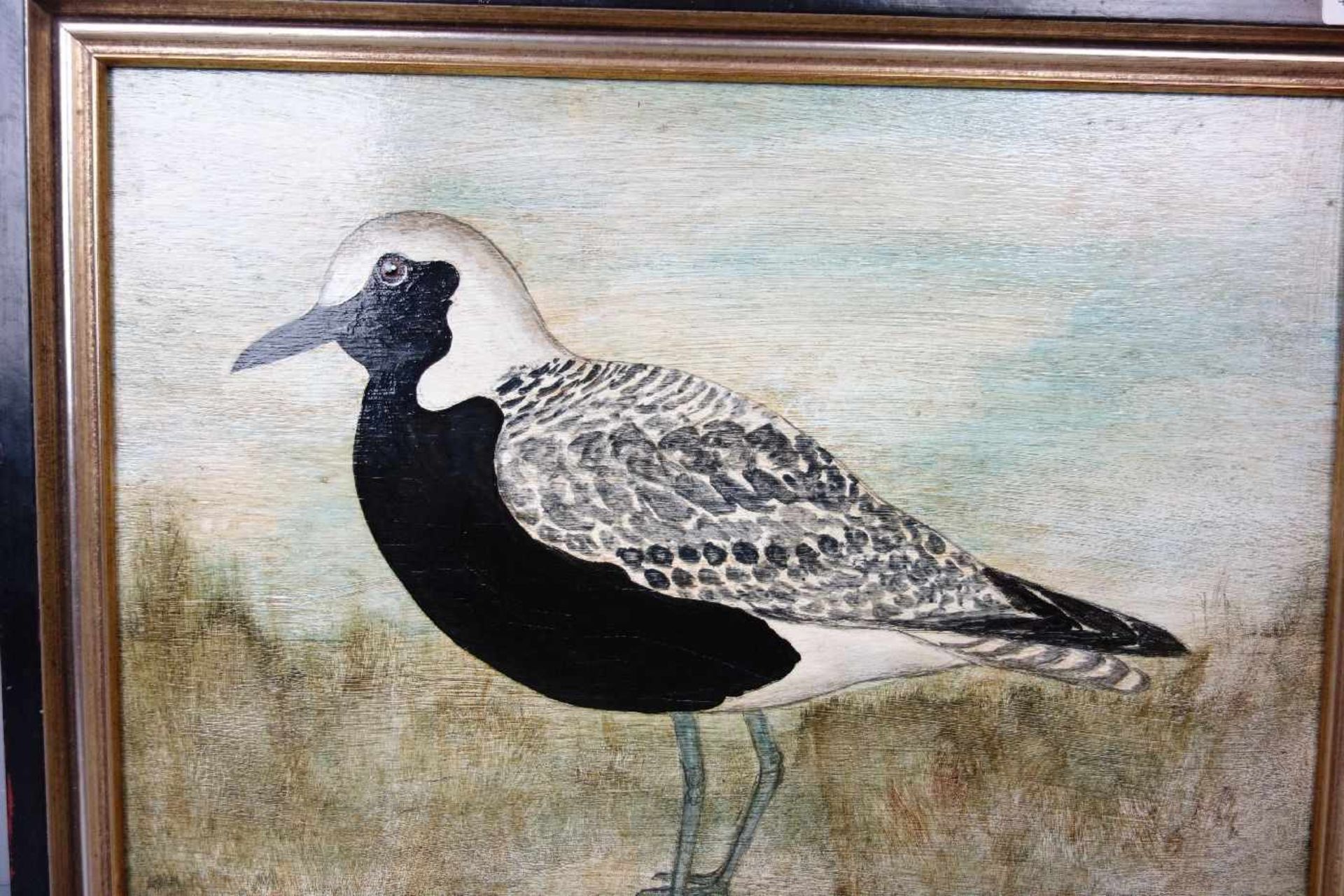 DEUTSCHER MALER des 20./21. Jh., Gemälde / painting: "Kiebitzregenpfeifer (Pluvialis squatarola)", - Image 2 of 3