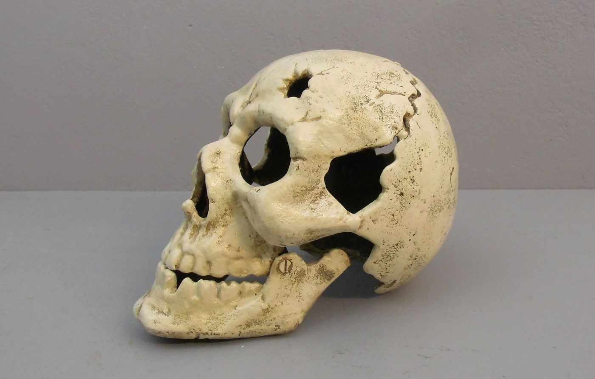 SCHÄDEL / MEMENTO MORI / skull, 20. Jh., Eisen, in leichter Stilisierung naturalistisch gearbeitet