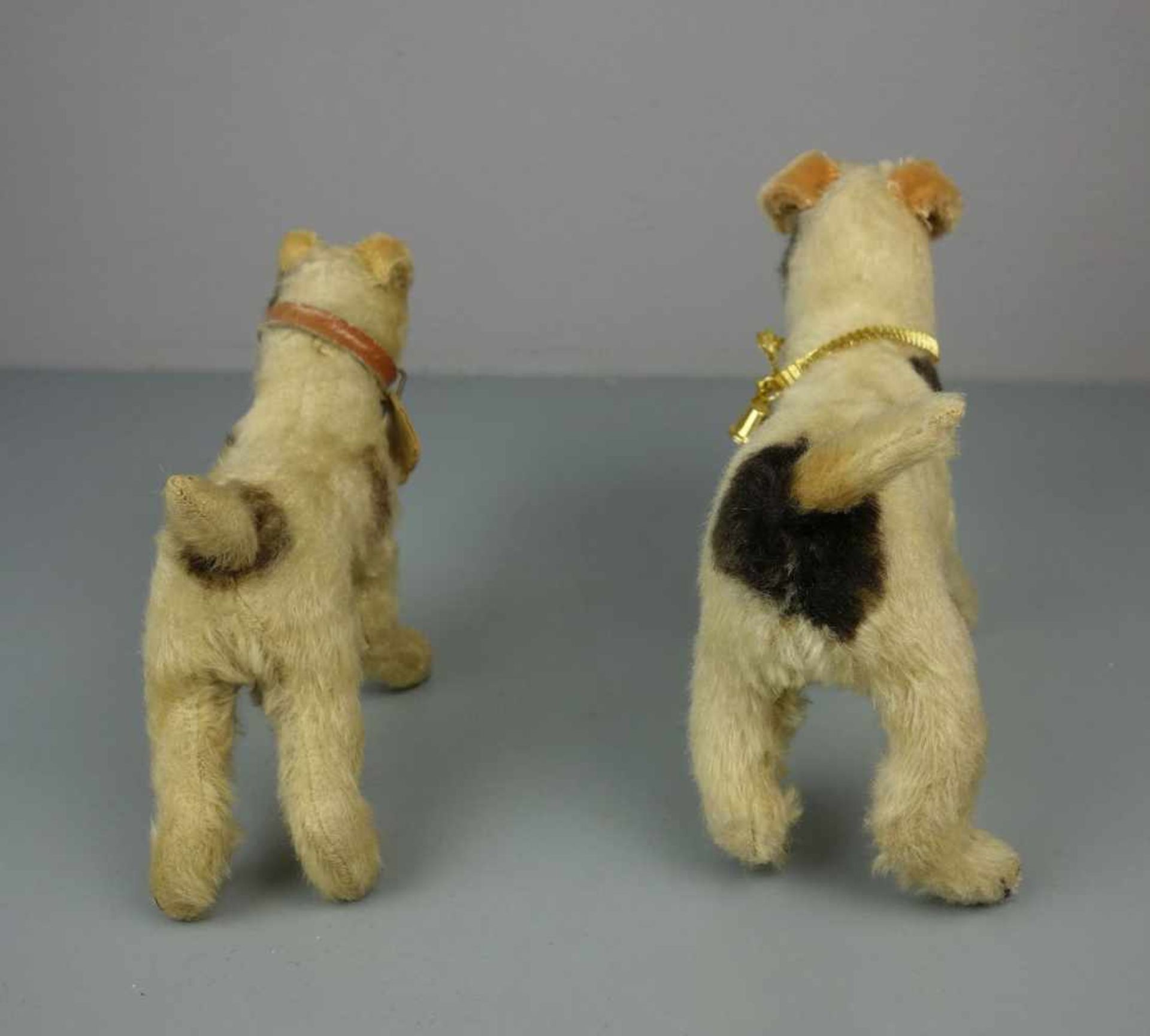 2 PLÜSCHTIERE: TERRIER / HUNDE / two cuddle toy dogs, um 1955. 1) Steiff-Hund "Foxy", Mohair, an - Image 5 of 7
