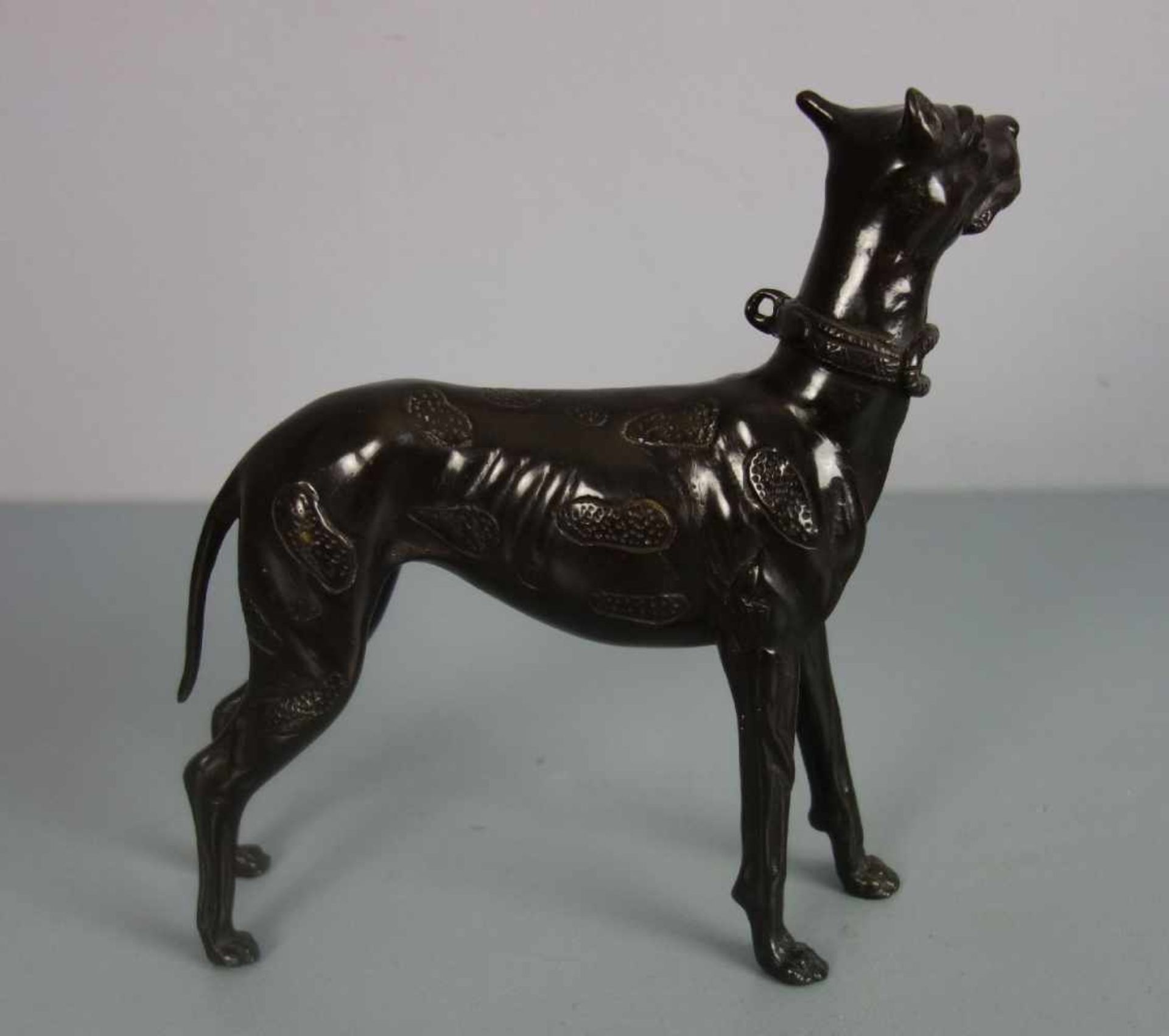 BILDHAUER / ANIMALIER DES 20. JH., Skulptur: "Dogge", Bronze, dunkelbraun patiniert. - Image 3 of 4