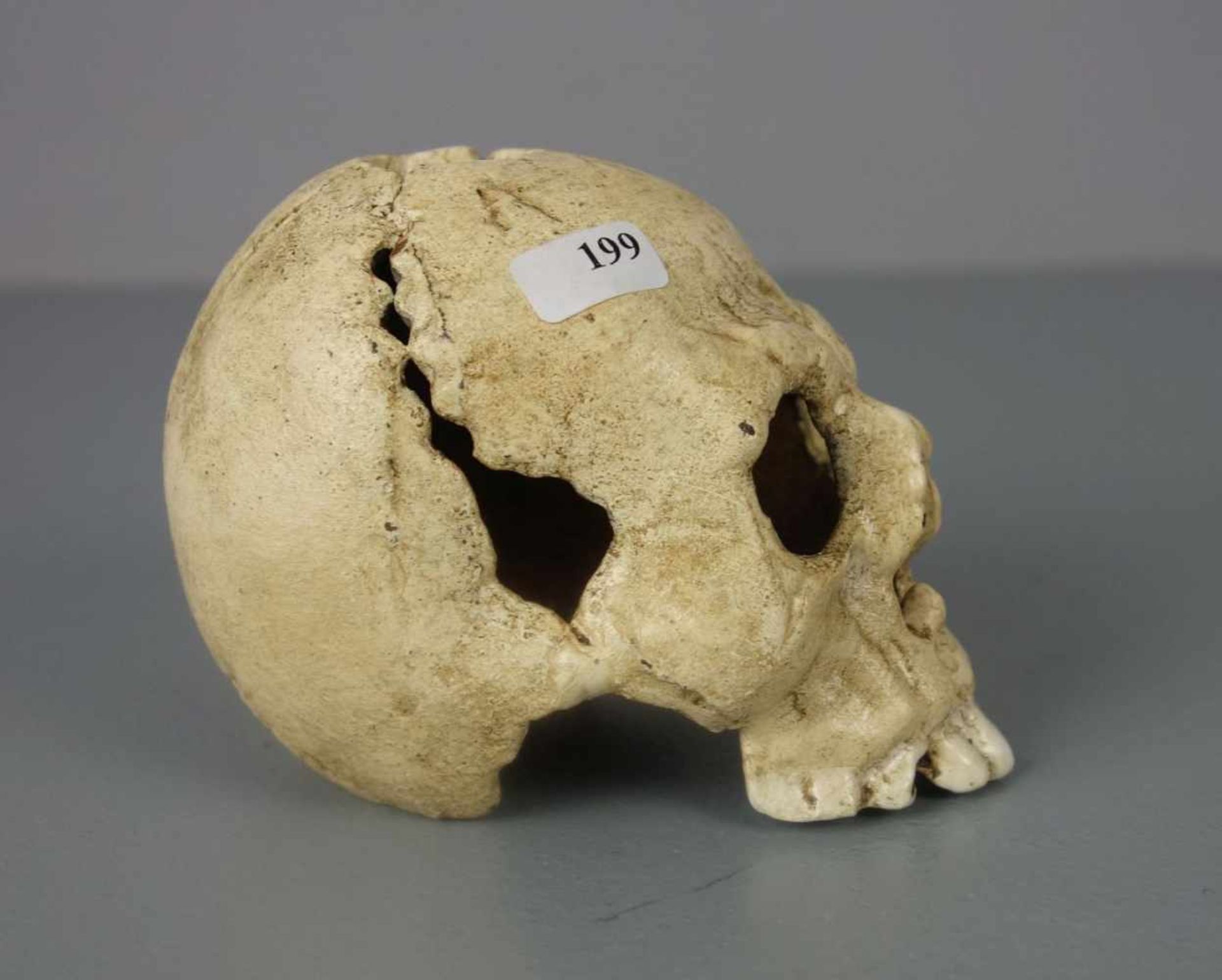 SCHÄDEL / MEMENTO MORI als Kerzenständer / skull, 20. Jh., Eisen, in leichter Stilisierung - Image 5 of 5