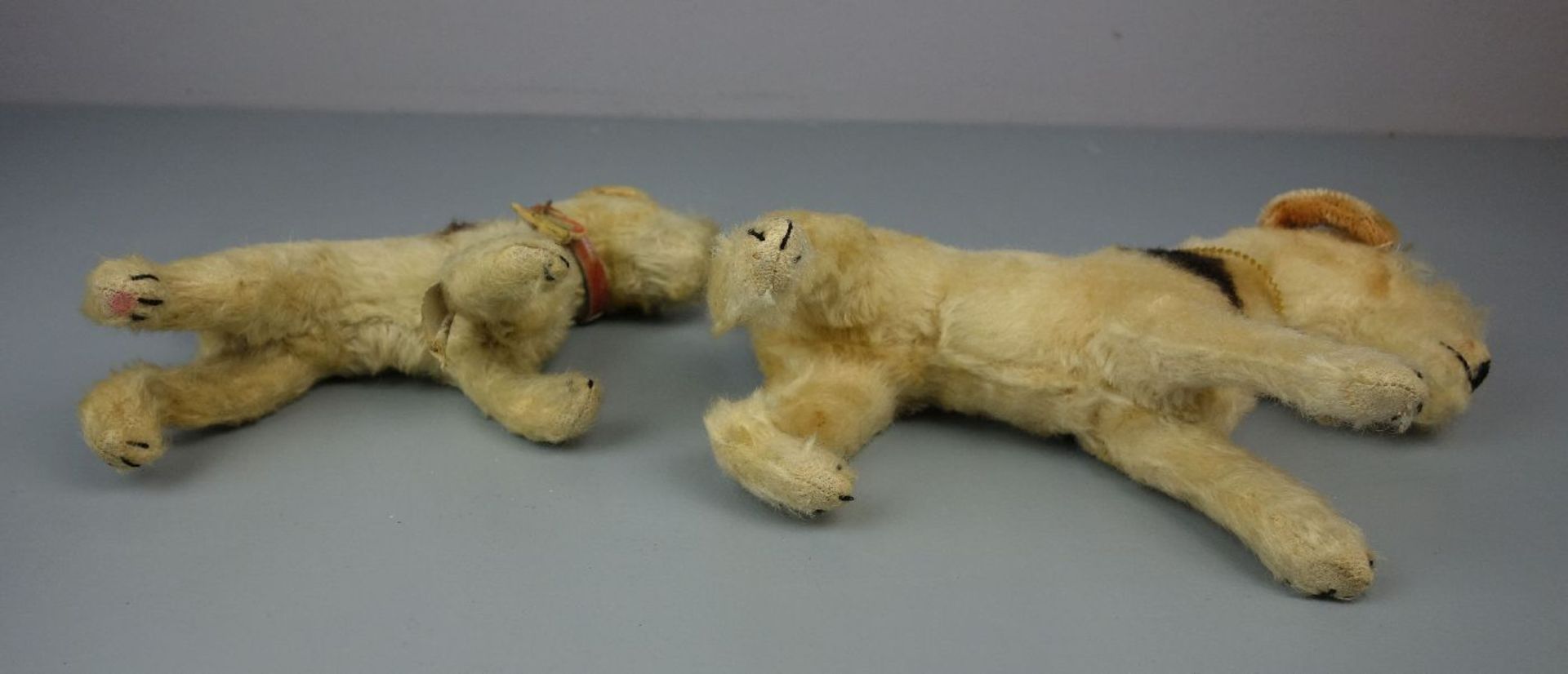 2 PLÜSCHTIERE: TERRIER / HUNDE / two cuddle toy dogs, um 1955. 1) Steiff-Hund "Foxy", Mohair, an - Image 6 of 7