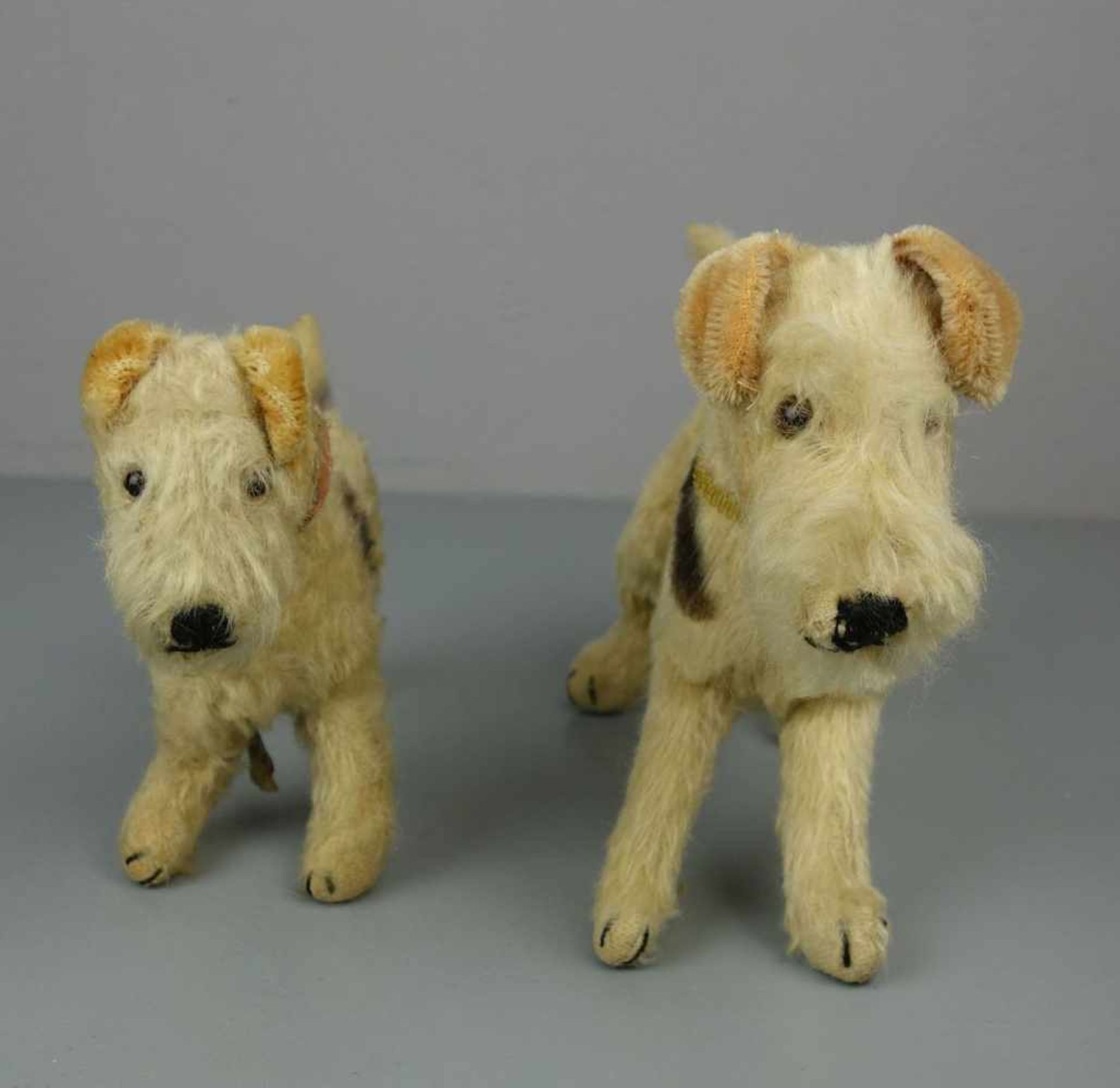 2 PLÜSCHTIERE: TERRIER / HUNDE / two cuddle toy dogs, um 1955. 1) Steiff-Hund "Foxy", Mohair, an - Image 3 of 7