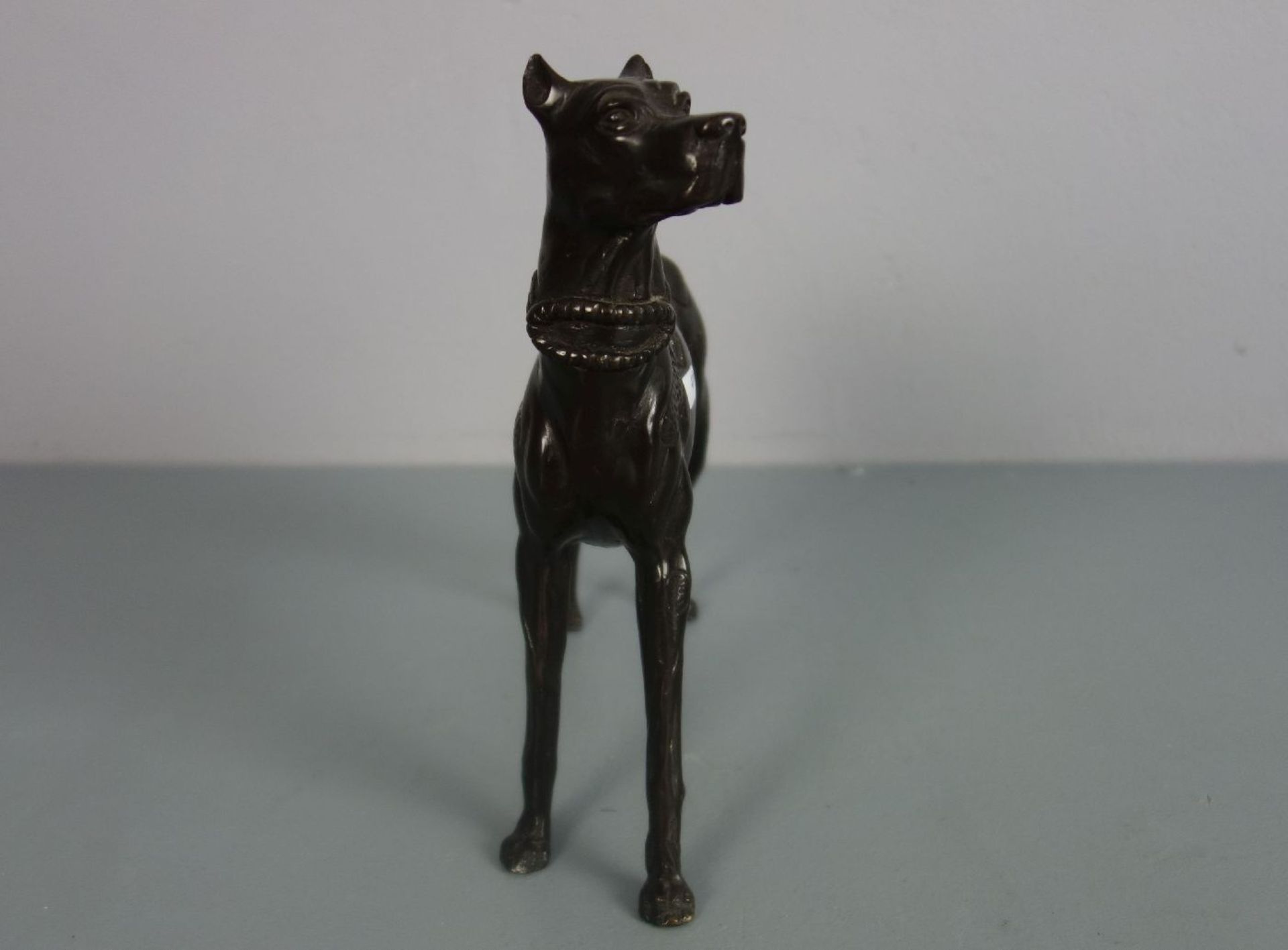 BILDHAUER / ANIMALIER DES 20. JH., Skulptur: "Dogge", Bronze, dunkelbraun patiniert. - Image 2 of 4