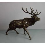 ANIMALIER / TIERBILDHAUER DES 19./20. JH., Skulptur / sculpture: "Hirsch", Bronze, hellbraun