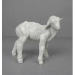 PORZELLANFIGUR / porcelain figure: "Lamm", Weissporzellan, Manufaktur Meissen, unterglasurblaue