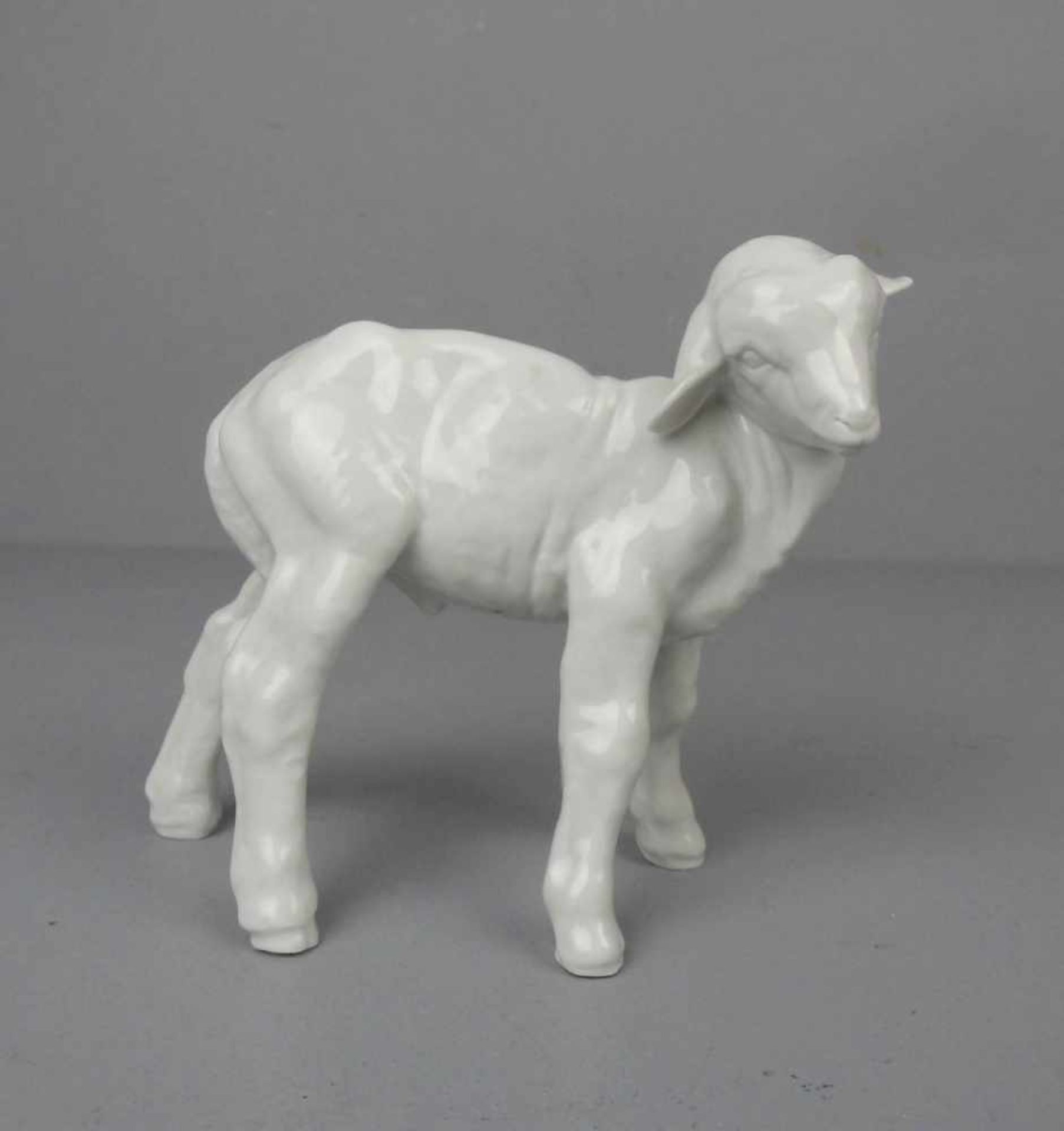 PORZELLANFIGUR / porcelain figure: "Lamm", Weissporzellan, Manufaktur Meissen, unterglasurblaue