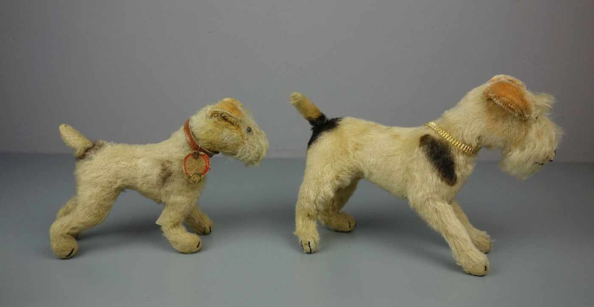 2 PLÜSCHTIERE: TERRIER / HUNDE / two cuddle toy dogs, um 1955. 1) Steiff-Hund "Foxy", Mohair, an - Bild 4 aus 7
