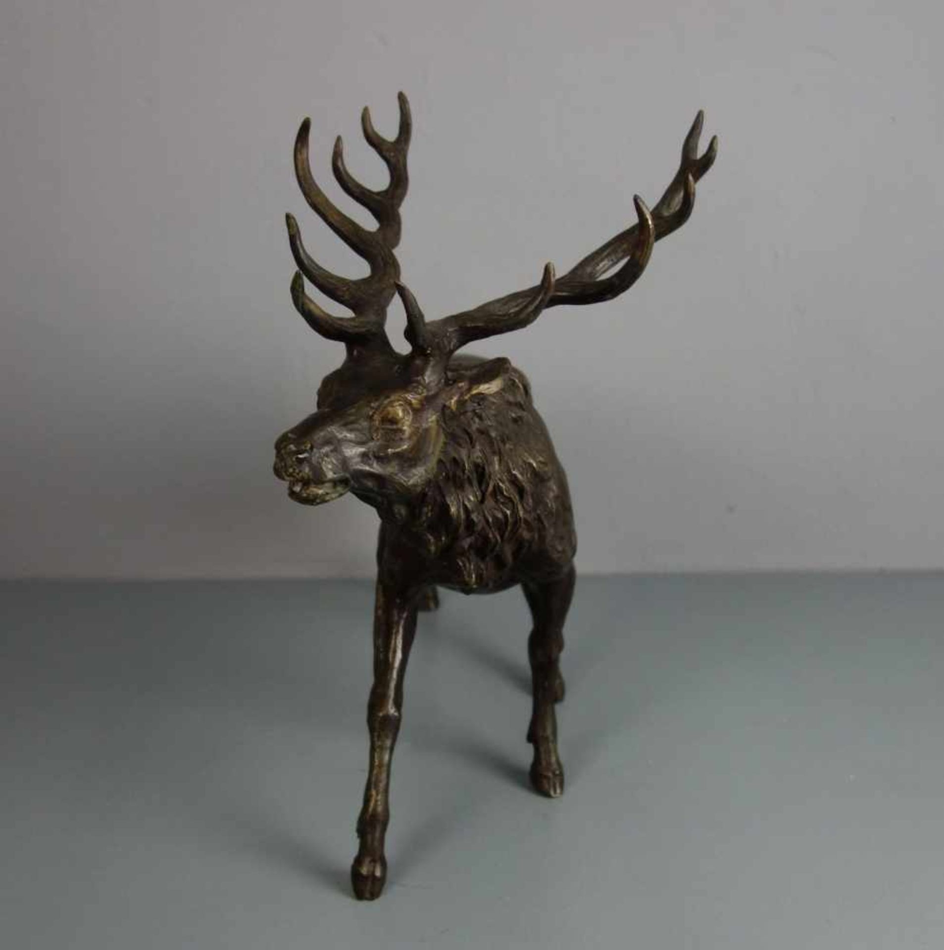 ANIMALIER / TIERBILDHAUER DES 19./20. JH., Skulptur / sculpture: "Hirsch", Bronze, hellbraun - Bild 2 aus 5