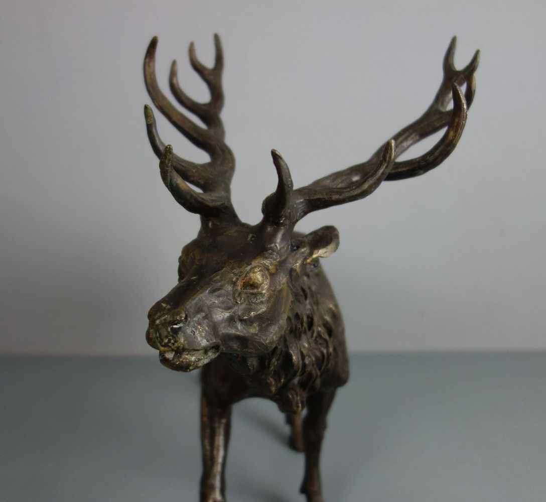 ANIMALIER / TIERBILDHAUER DES 19./20. JH., Skulptur / sculpture: "Hirsch", Bronze, hellbraun - Image 5 of 5