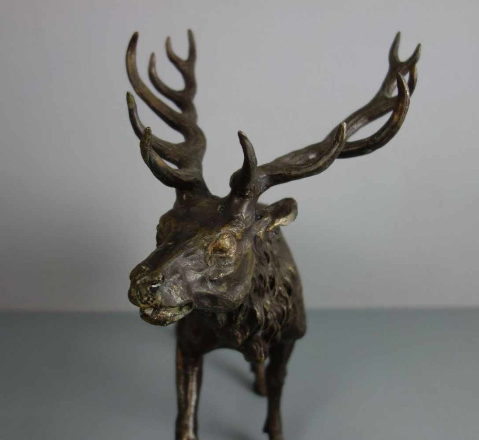 ANIMALIER / TIERBILDHAUER DES 19./20. JH., Skulptur / sculpture: "Hirsch", Bronze, hellbraun - Bild 5 aus 5