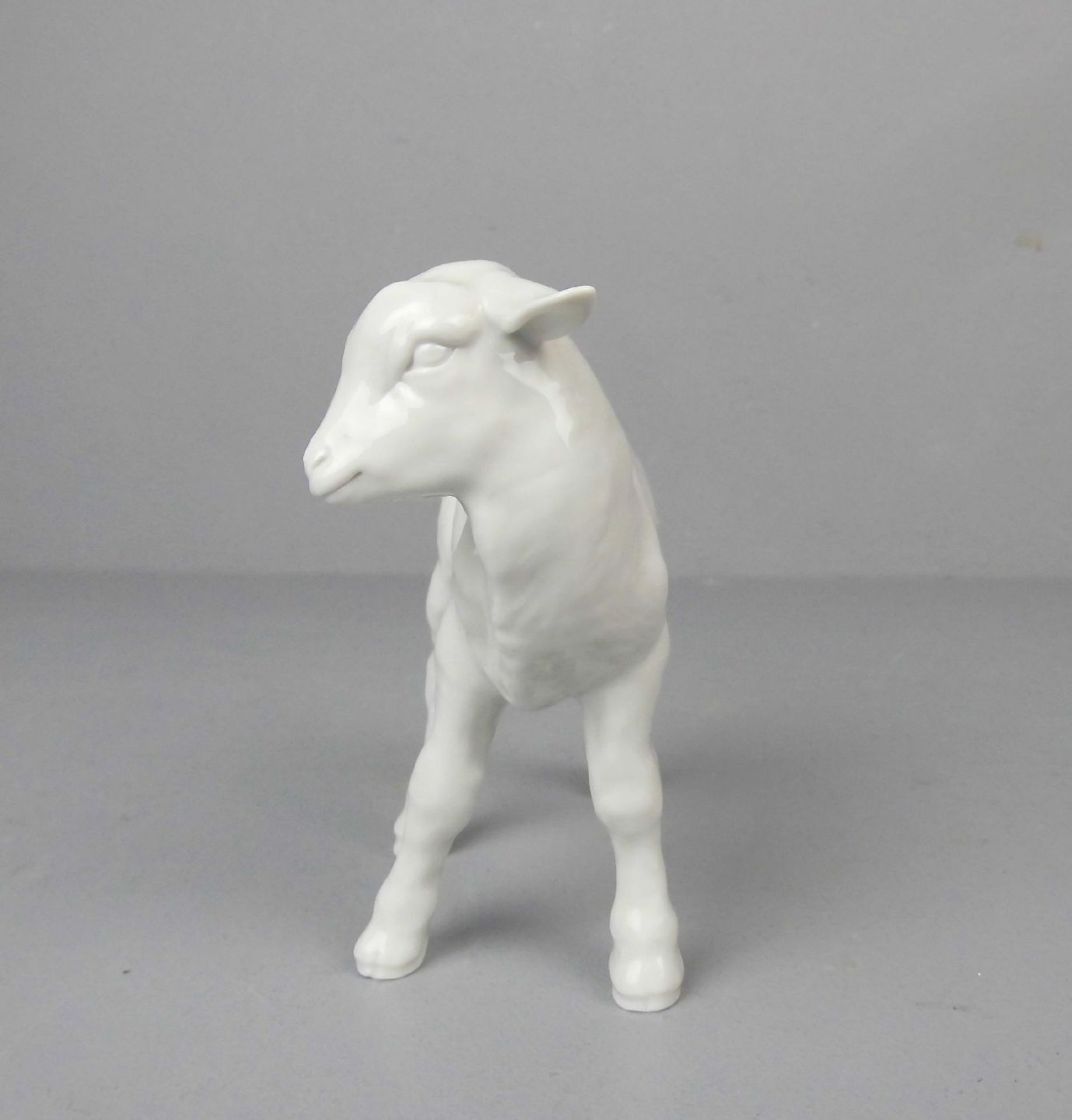 PORZELLANFIGUR / porcelain figure: "Lamm", Weissporzellan, Manufaktur Meissen, unterglasurblaue - Bild 2 aus 2