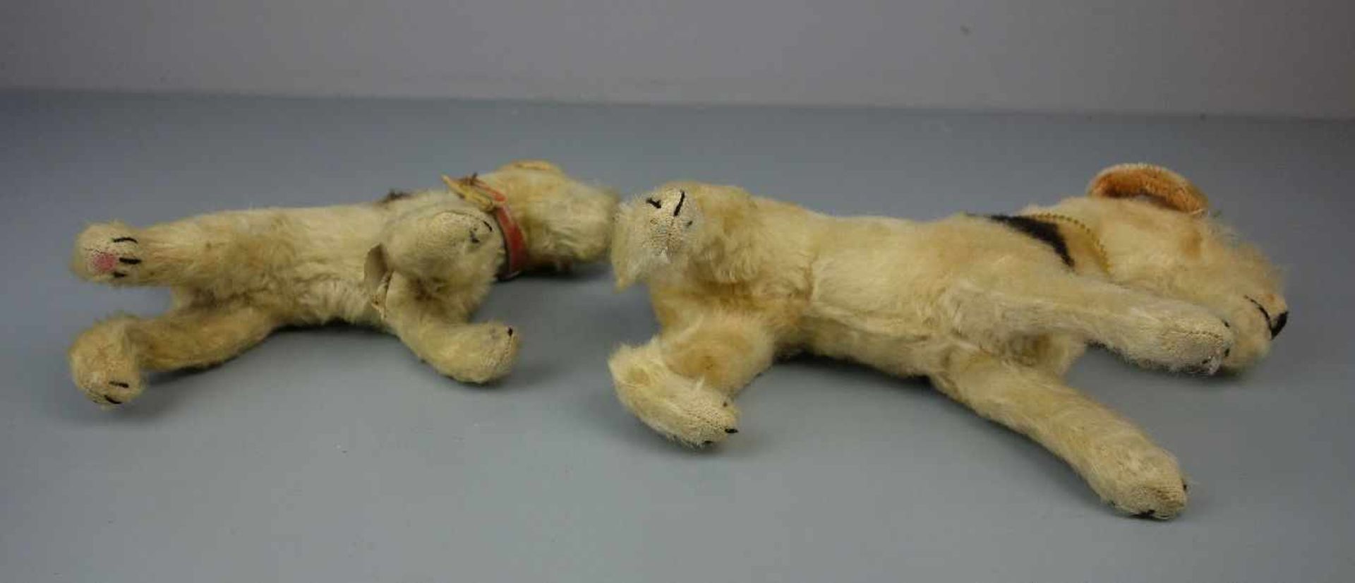 2 PLÜSCHTIERE: TERRIER / HUNDE / two cuddle toy dogs, um 1955. 1) Steiff-Hund "Foxy", Mohair, an - Bild 6 aus 7