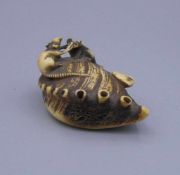 NETSUKE "ZWEI RATTEN AUF SEEOHR / AWABI-MUSCHEL", Japan, Bein (vermutlich Hirschhorn). Vollplastisch