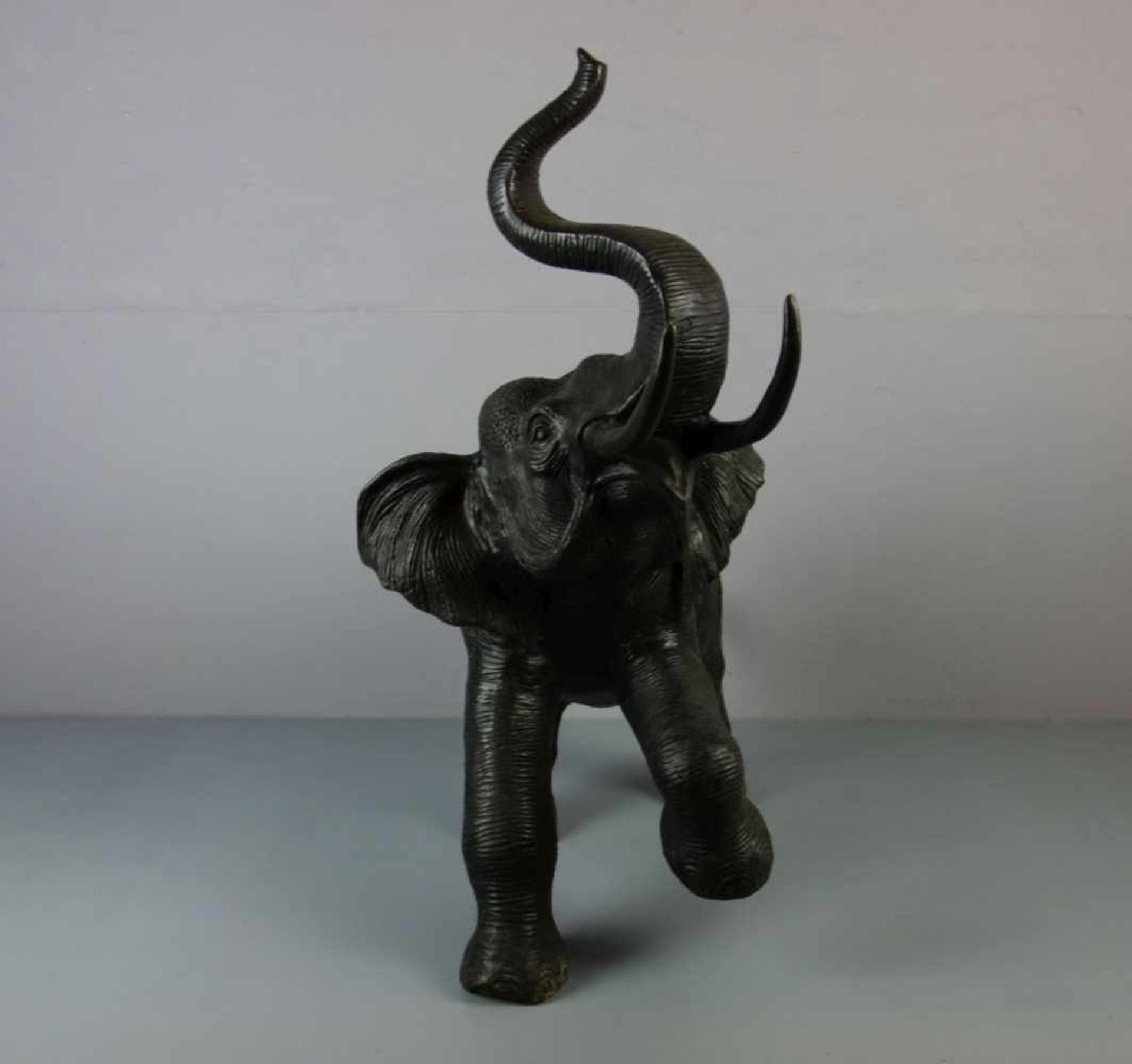 BILDHAUER DES 20./21. Jh., Skulptur / sculpture: "Elefant", Bronze, hellbraun patiniert. - Bild 2 aus 6