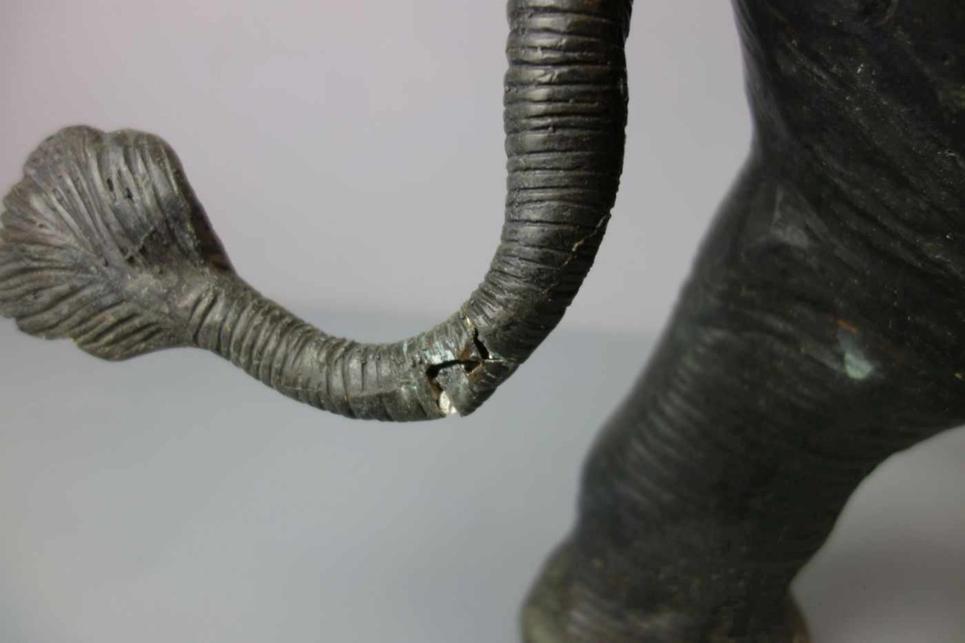 BILDHAUER DES 20./21. Jh., Skulptur / sculpture: "Elefant", Bronze, hellbraun patiniert. - Bild 5 aus 6