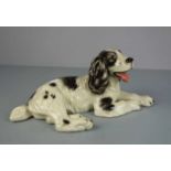 FIGUR: "Cocker Spaniel", Feinsteinzeug mit Unterglasurstaffage. Bodenmarke Steffel Fayencen, Wien,