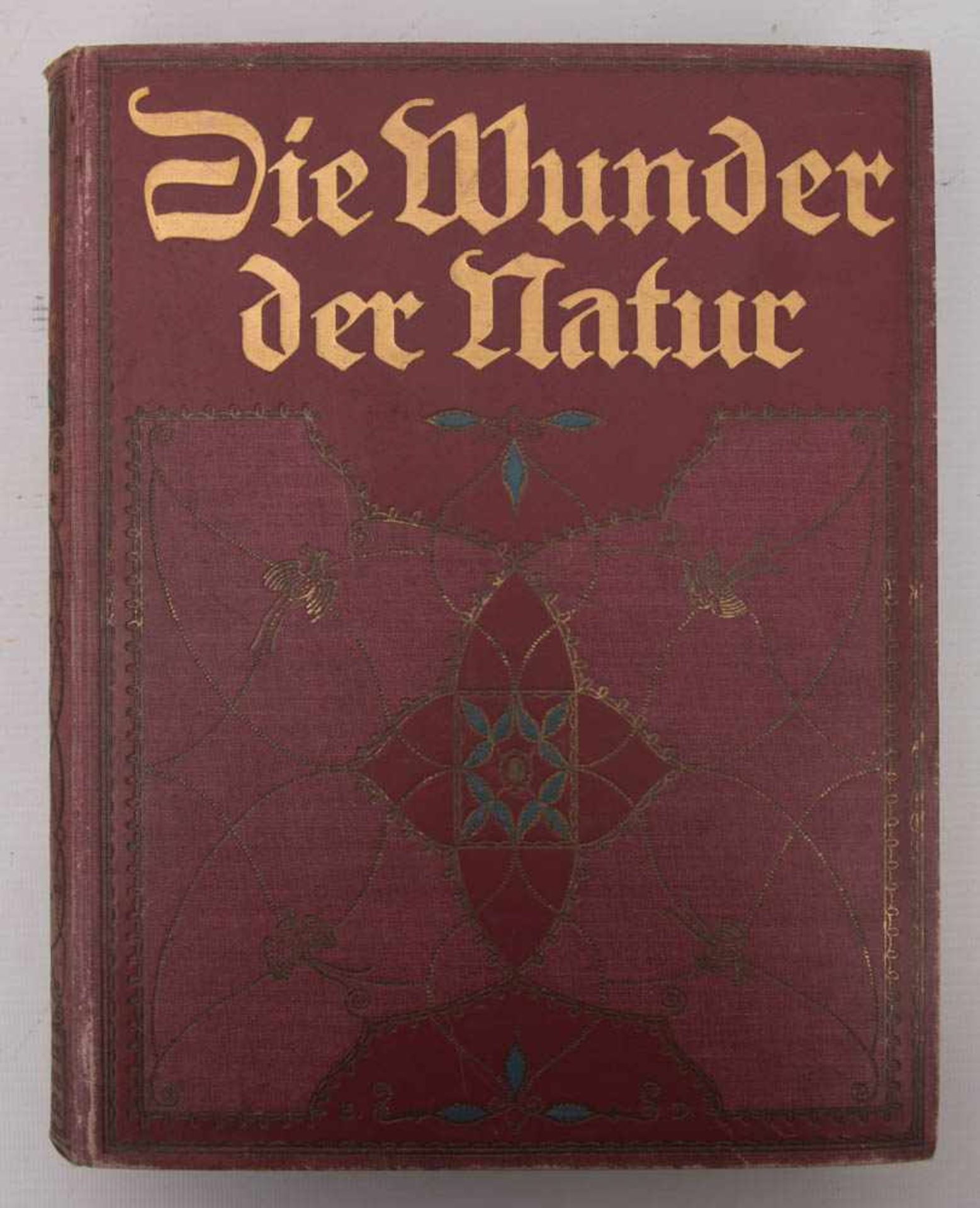 DIE WUNDER DER NATUR, Bnd. 1-3, Deutschland 1912.Originaleinband mit Schuber.23 x 28,5 cm - Bild 2 aus 4